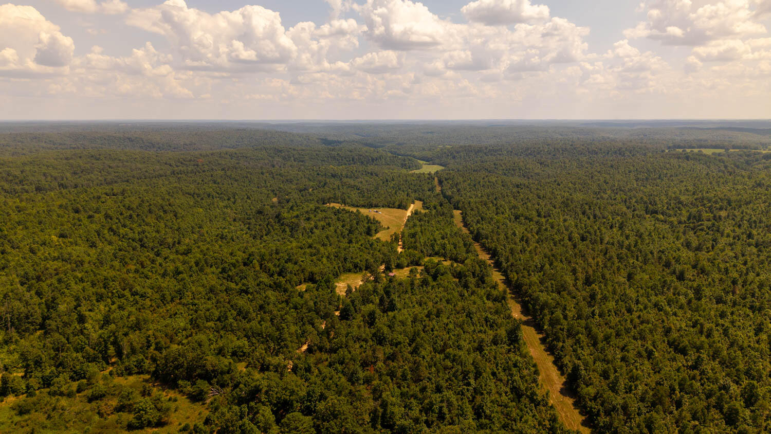 Tbd County Road 443 Property Photo 57