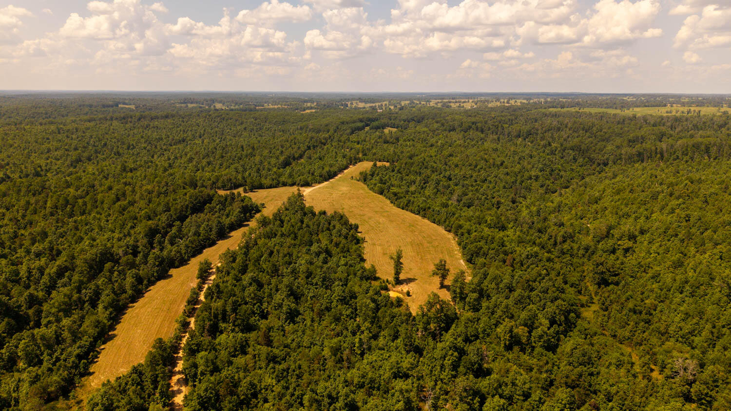 Tbd County Road 443 Property Photo 59