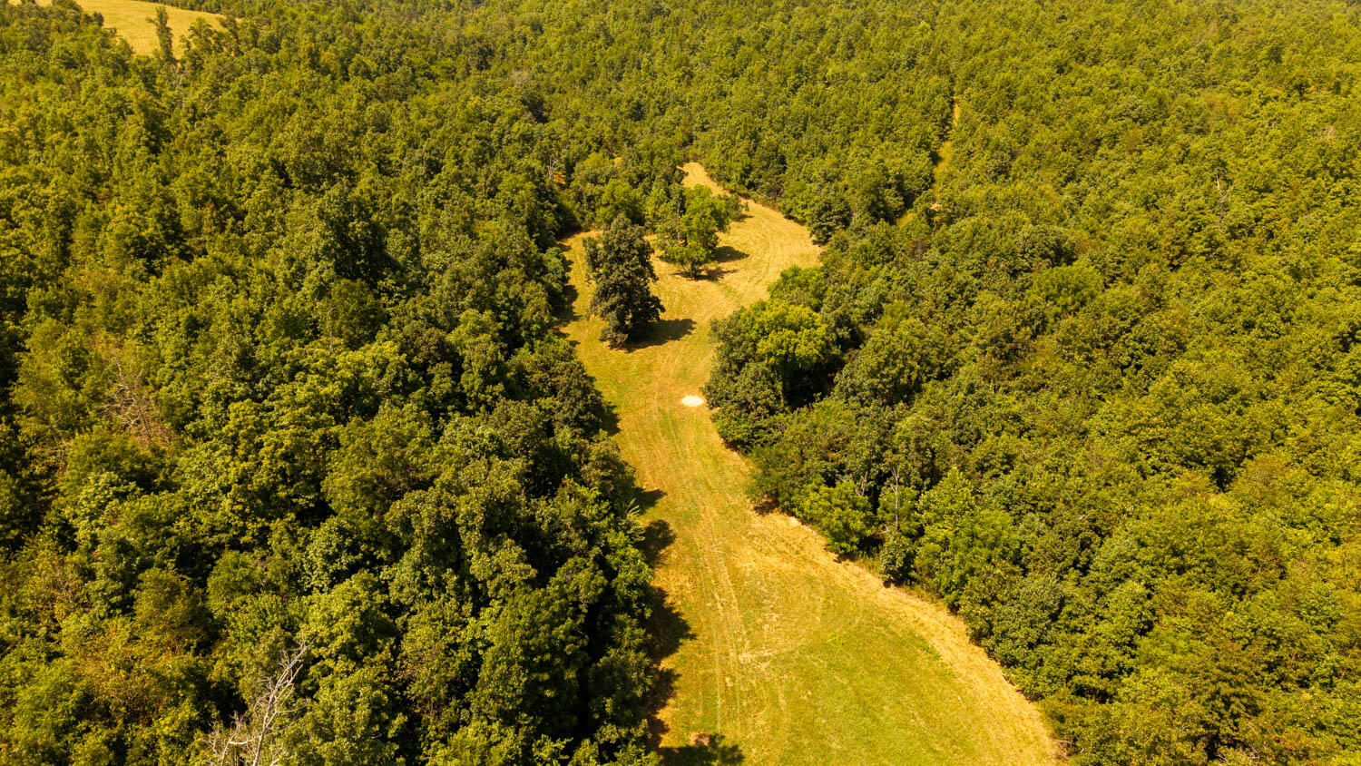 Tbd County Road 443 Property Photo 64