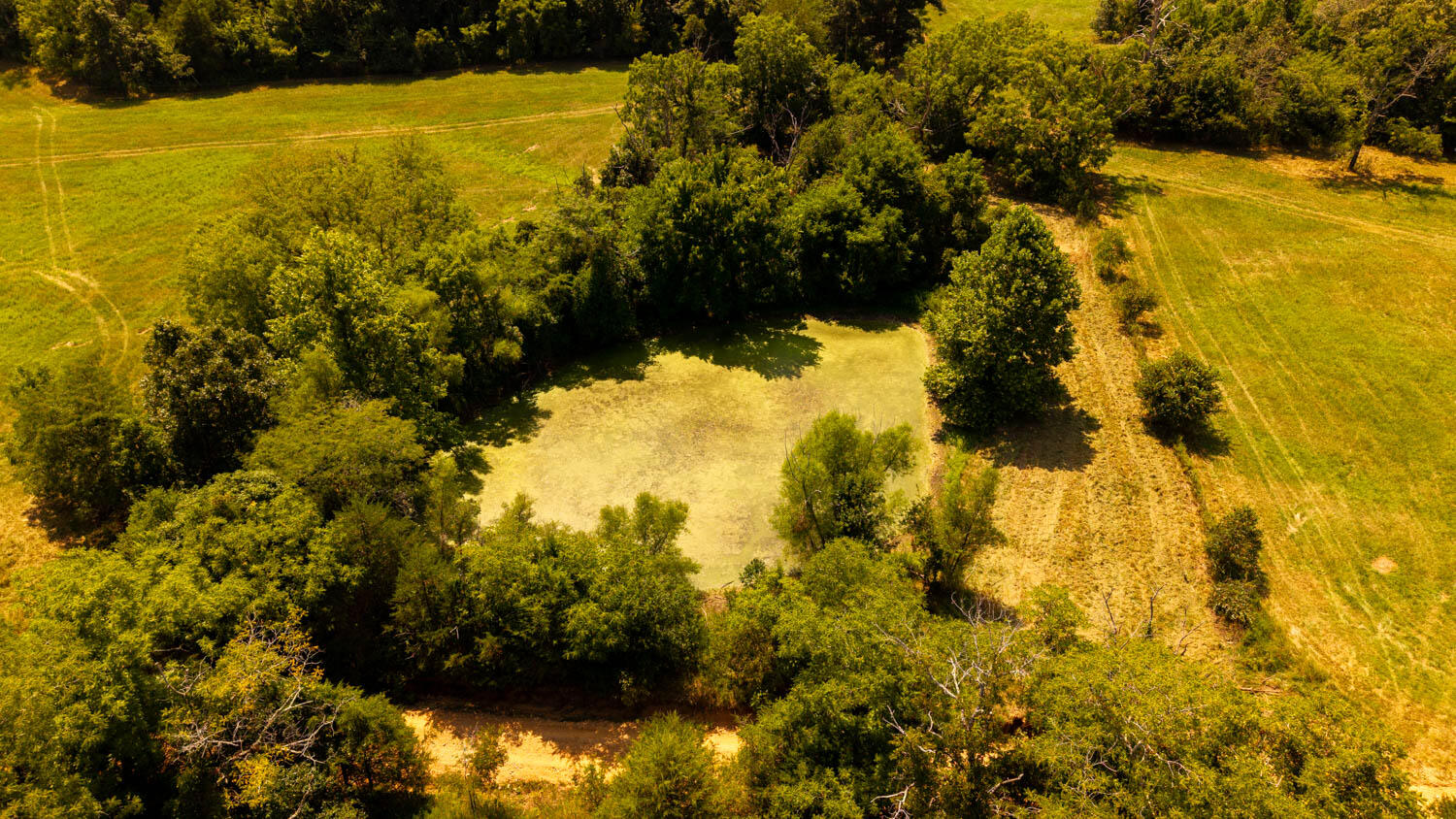 Tbd County Road 443 Property Photo 67