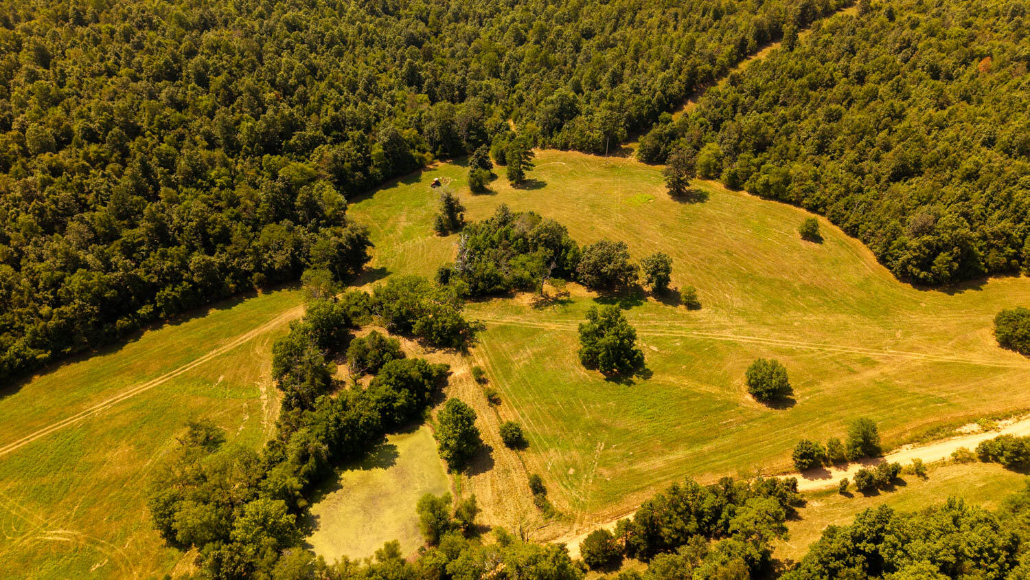 Tbd County Road 443 Property Photo 68