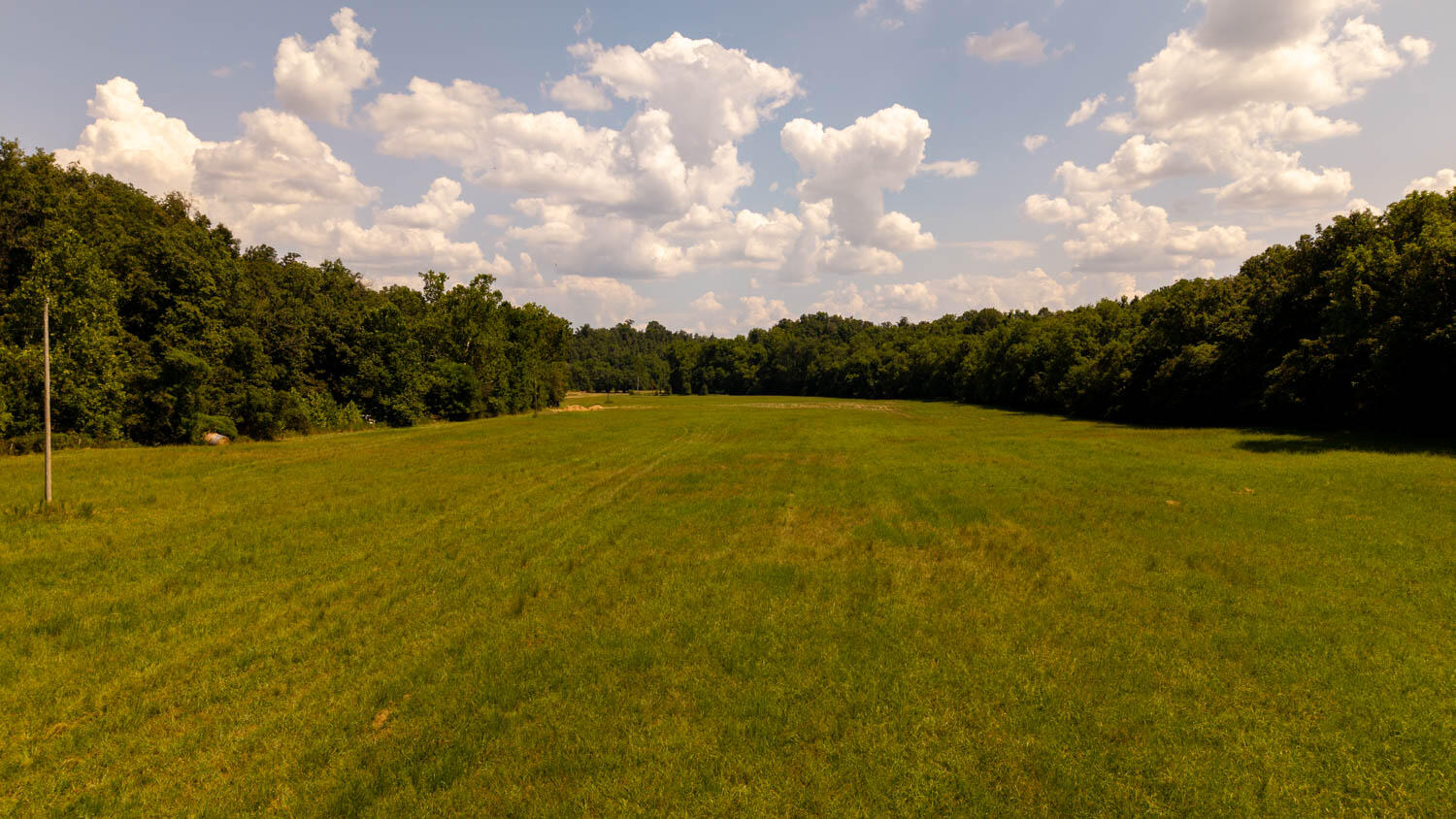 Tbd County Road 443 Property Photo 69