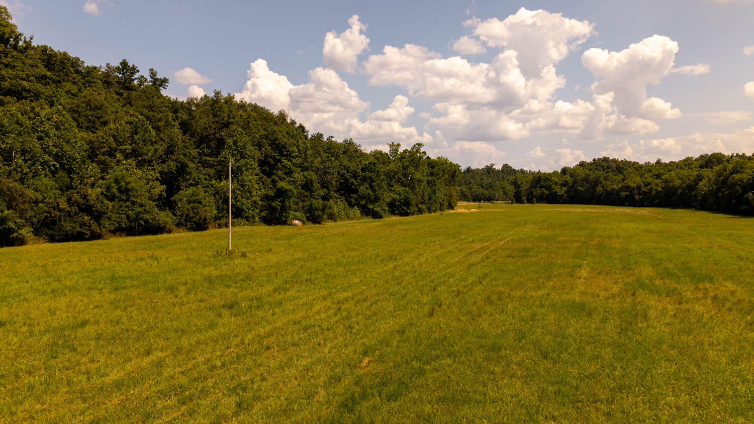 Tbd County Road 443 Property Photo 70