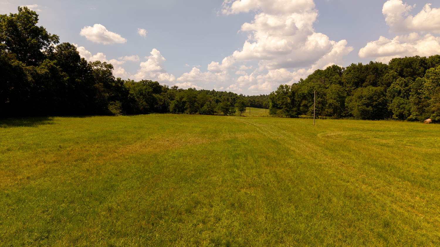 Tbd County Road 443 Property Photo 71