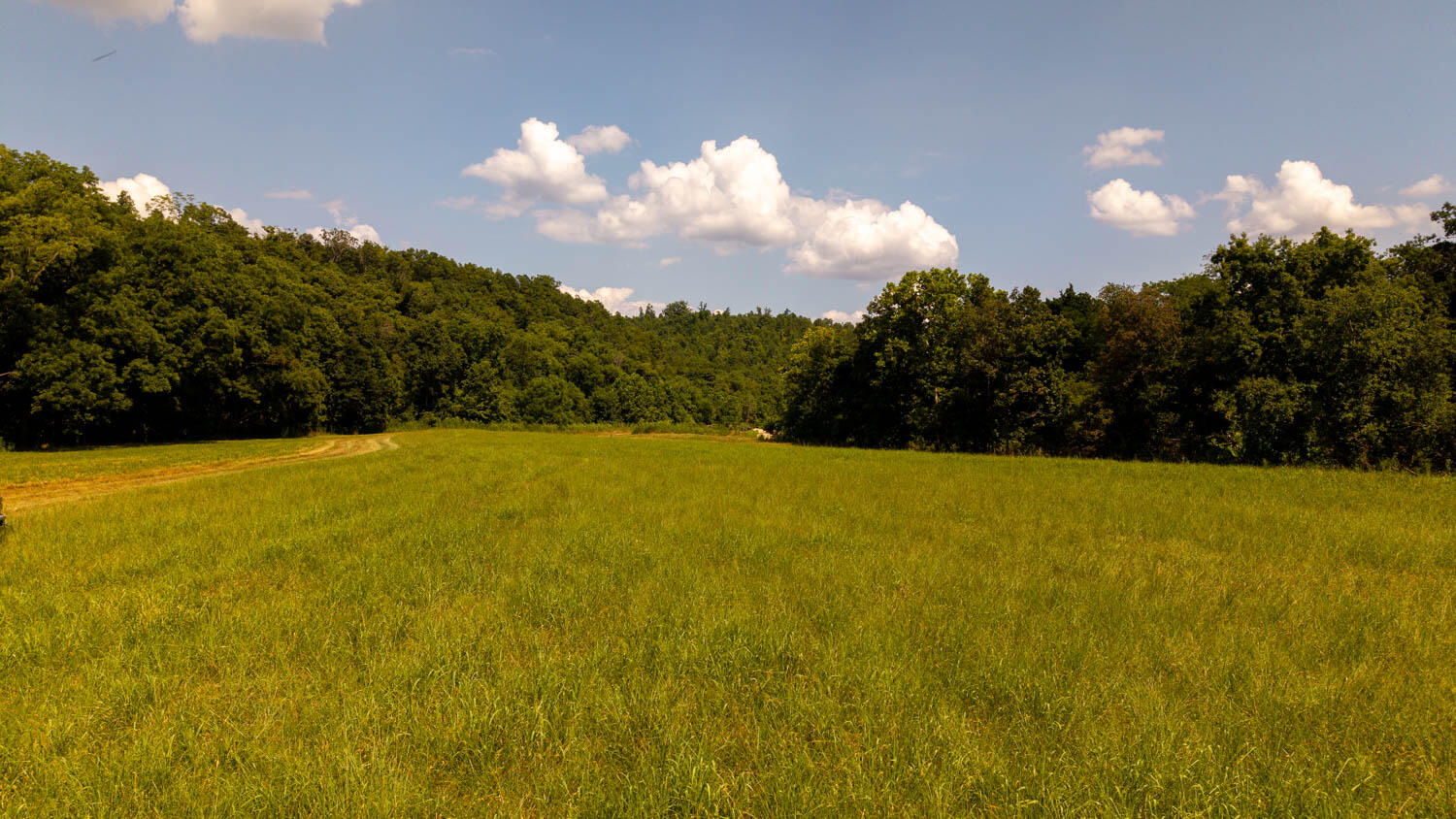 Tbd County Road 443 Property Photo 88
