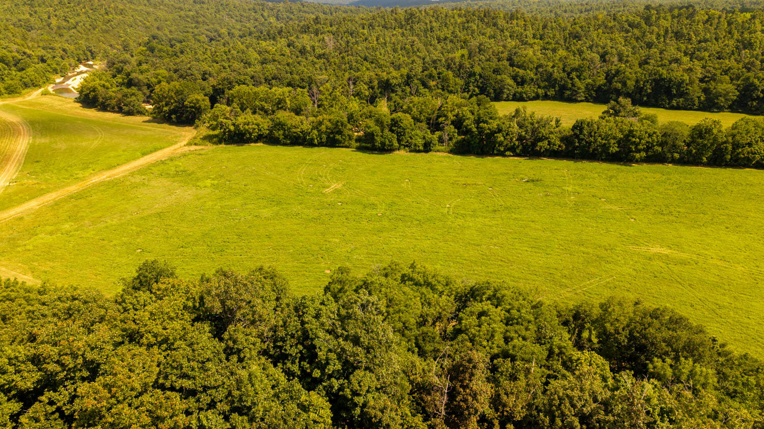 Tbd County Road 443 Property Photo 91