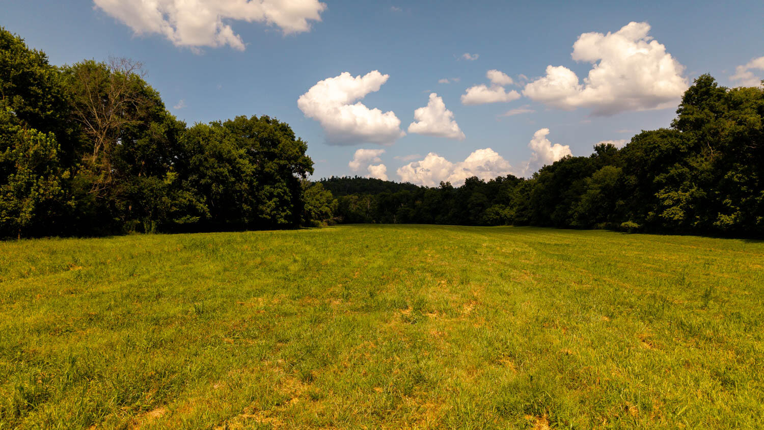 Tbd County Road 443 Property Photo 99
