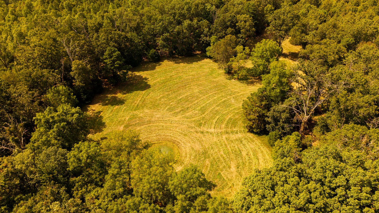 Tbd County Road 443 Property Photo 104