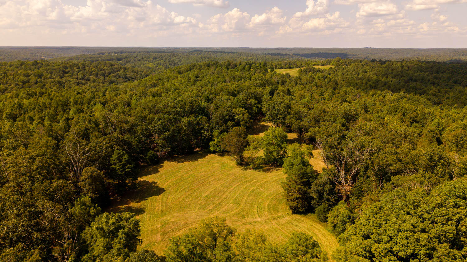 Tbd County Road 443 Property Photo 105