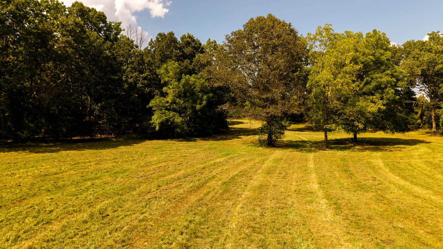 Tbd County Road 443 Property Photo 109