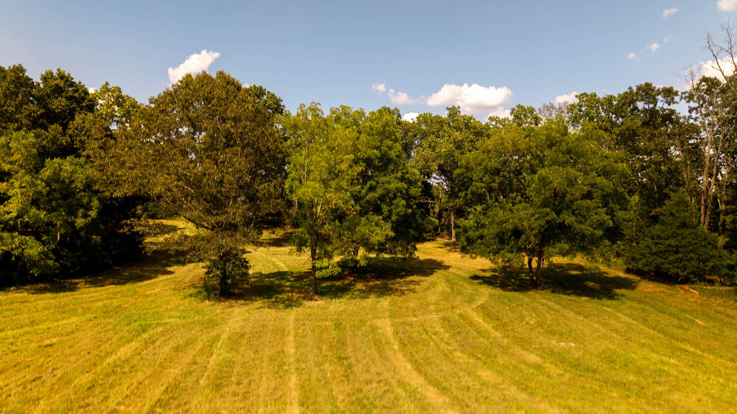 Tbd County Road 443 Property Photo 111