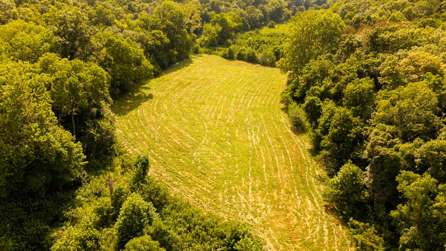 Tbd County Road 443 Property Photo 113