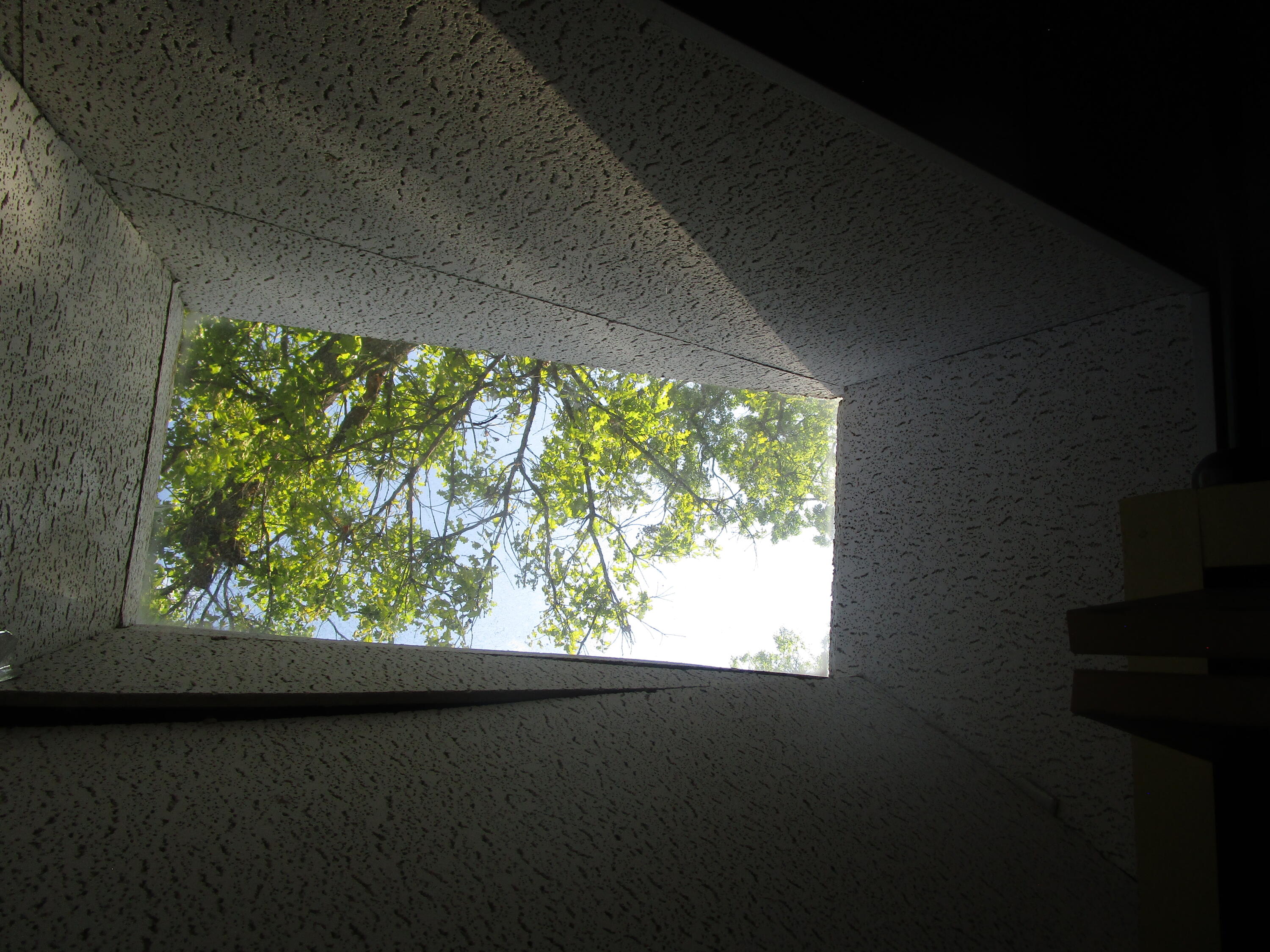 24415 Bald Eagle Drive Property Photo 54