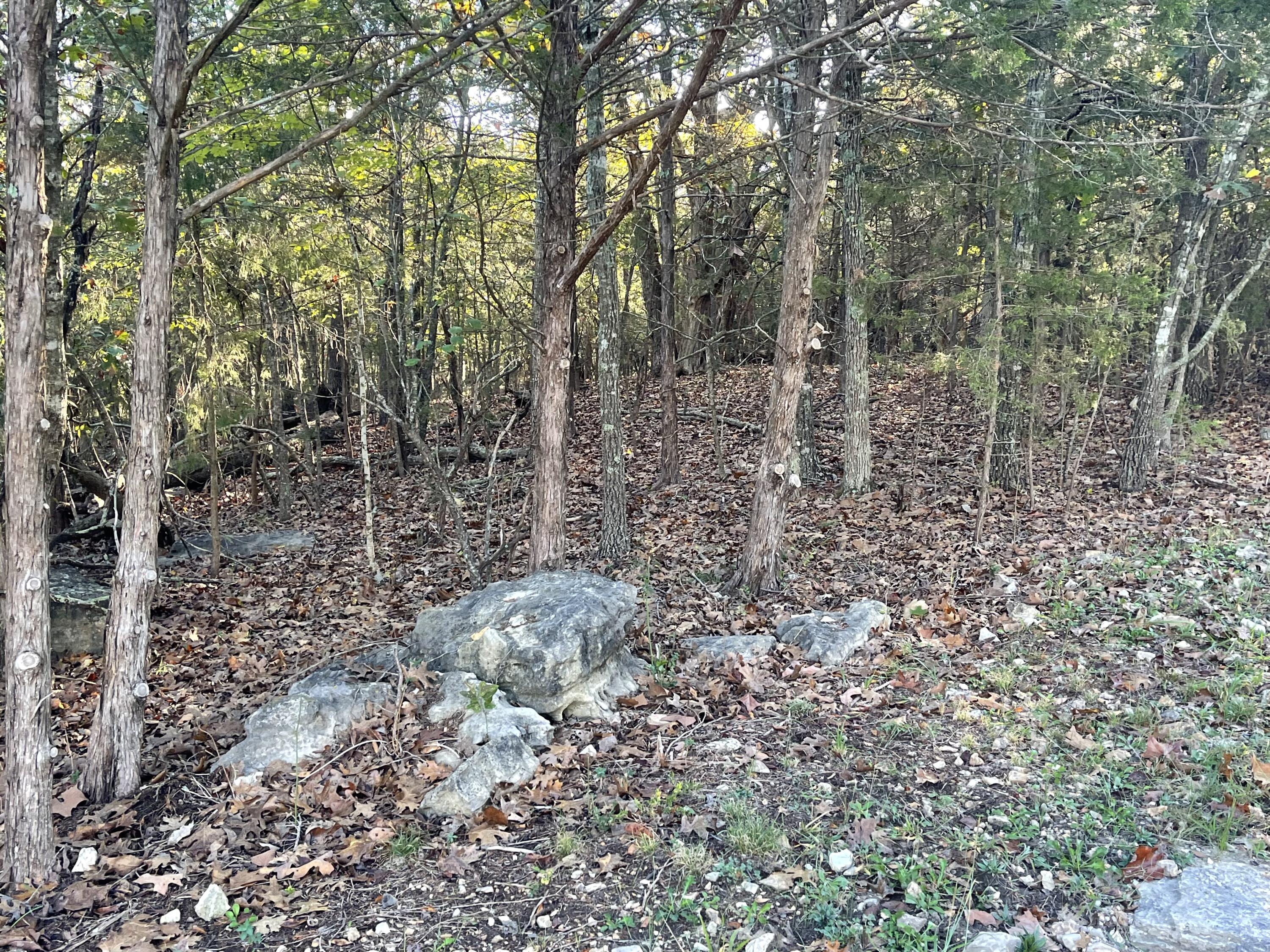 Tbd Oakwood Drive Property Photo 4