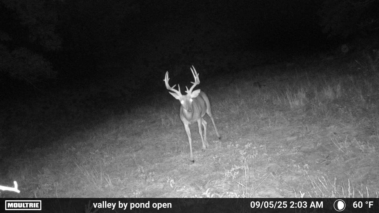 Co Rd 321 Route 5 Property Photo 6