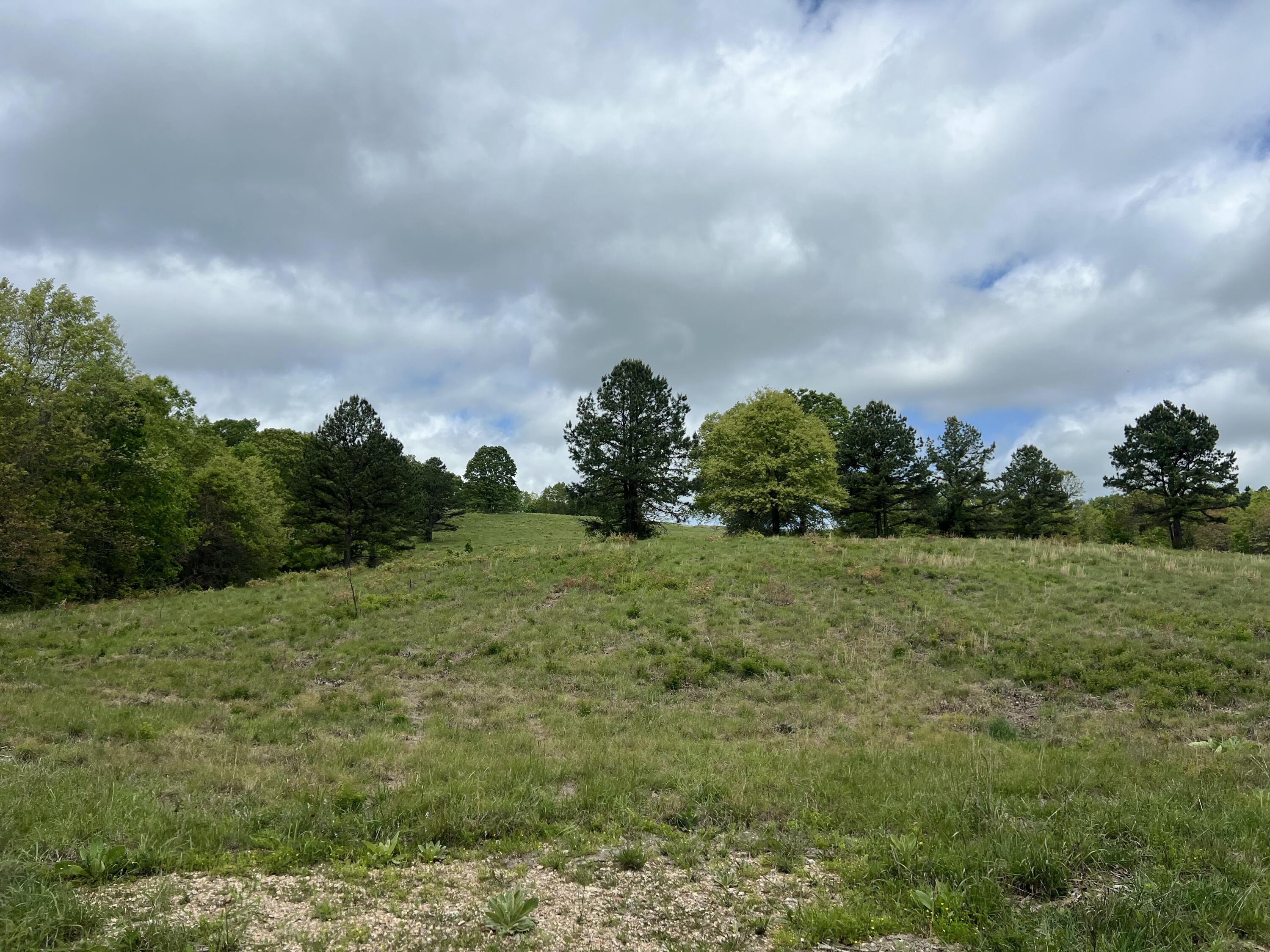Co Rd 321 Route 5 Property Photo 12