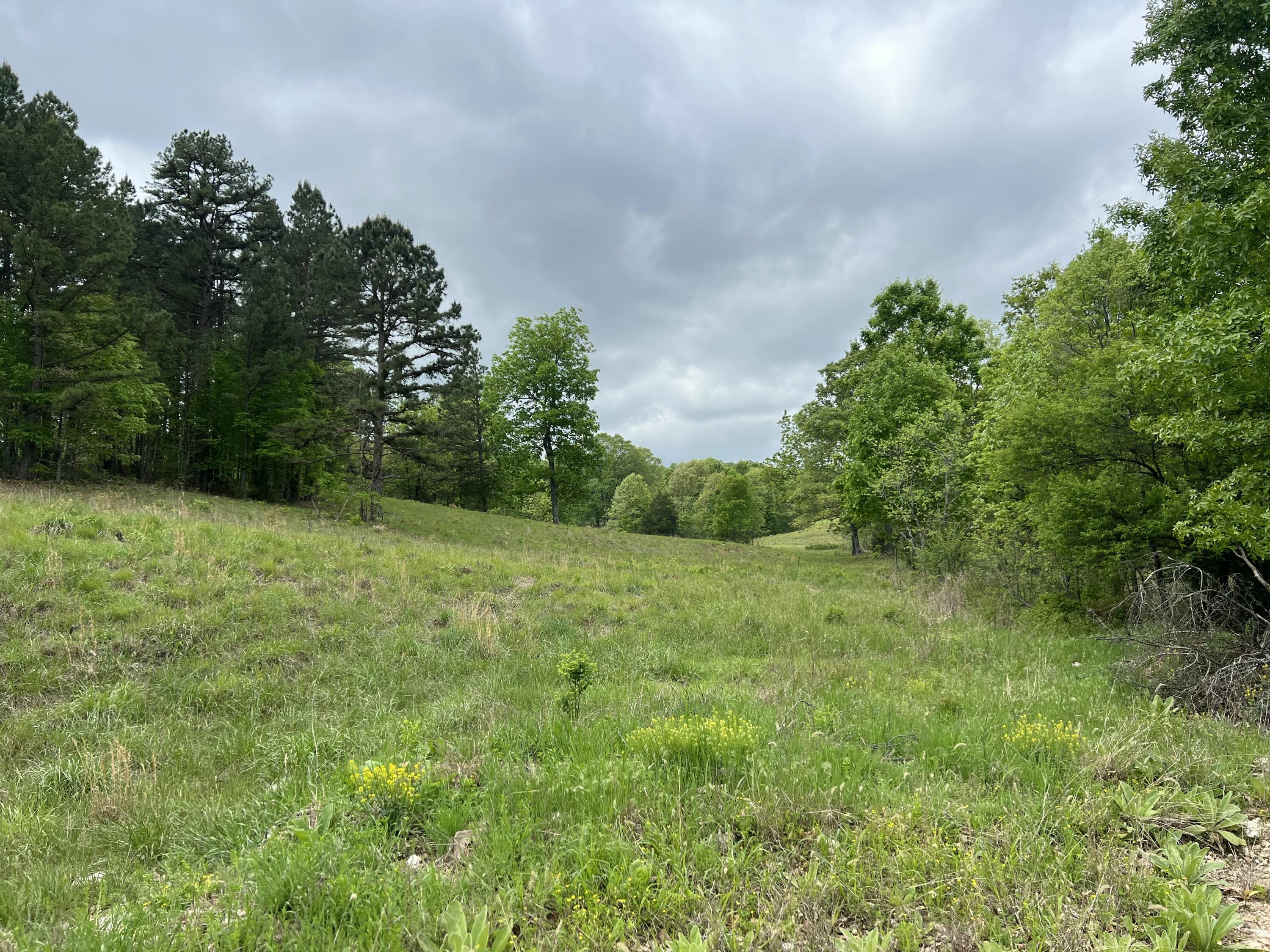 Co Rd 321 Route 5 Property Photo 13