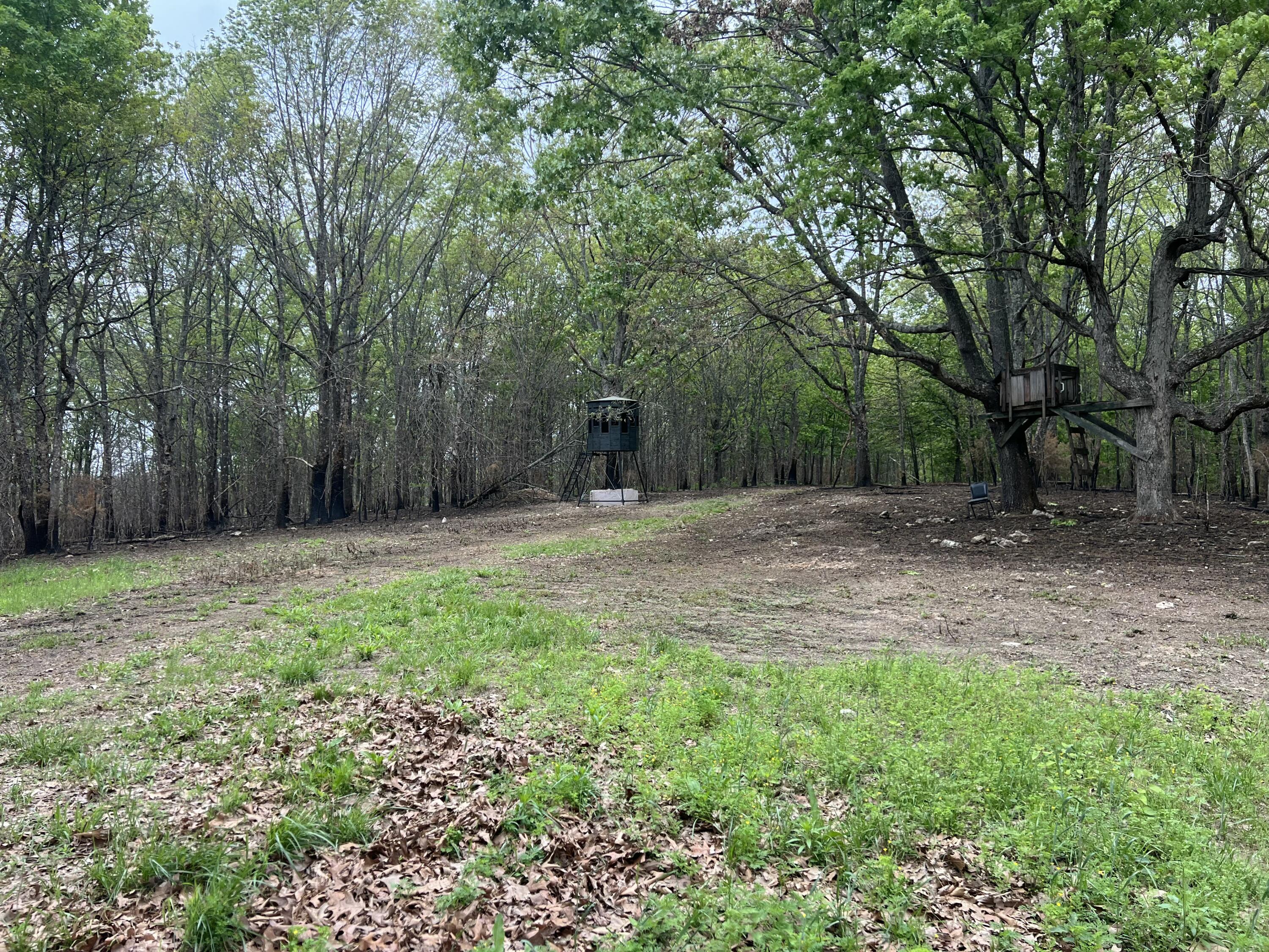 Co Rd 321 Route 5 Property Photo 24