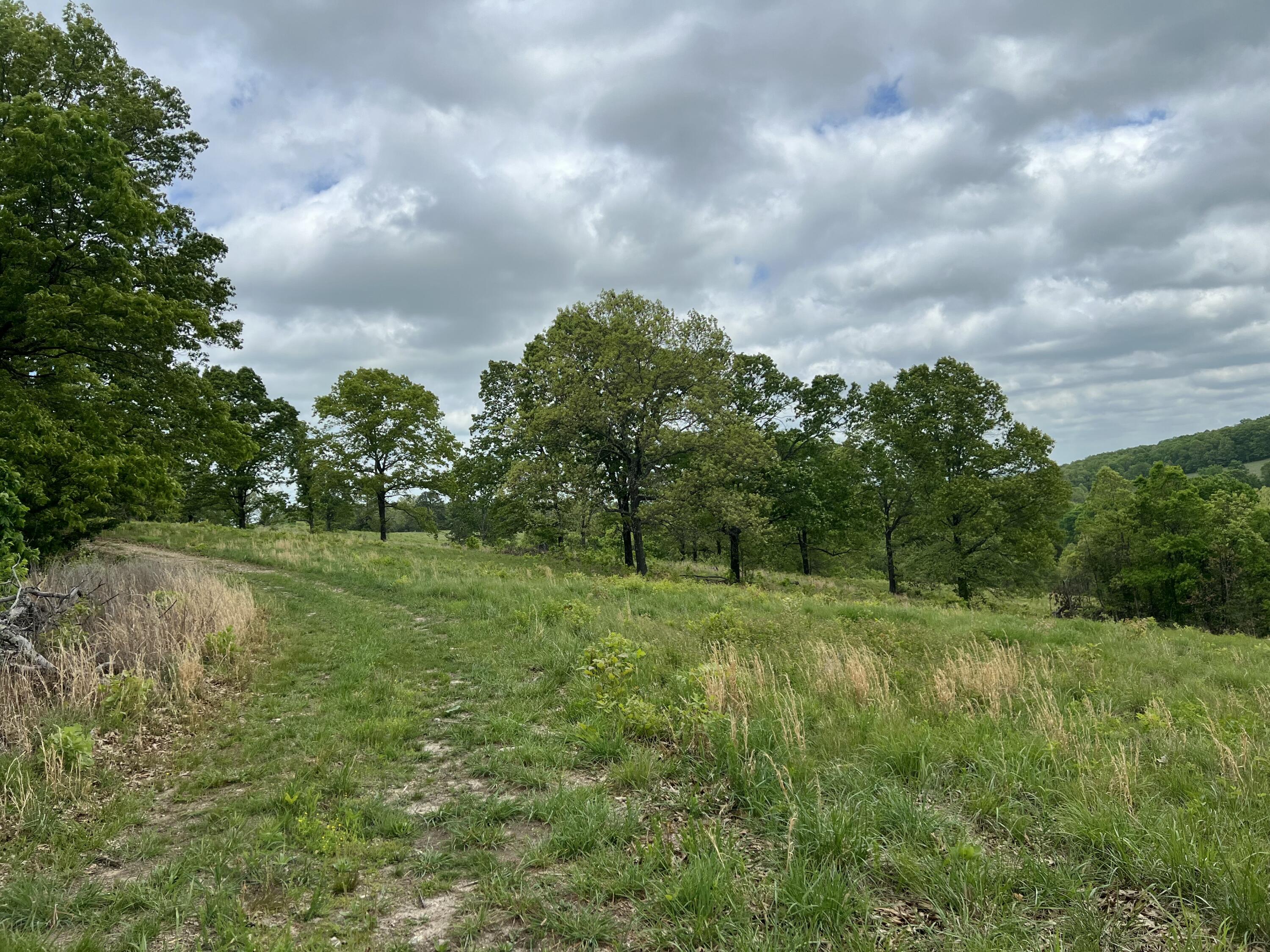 Co Rd 321 Route 5 Property Photo 29