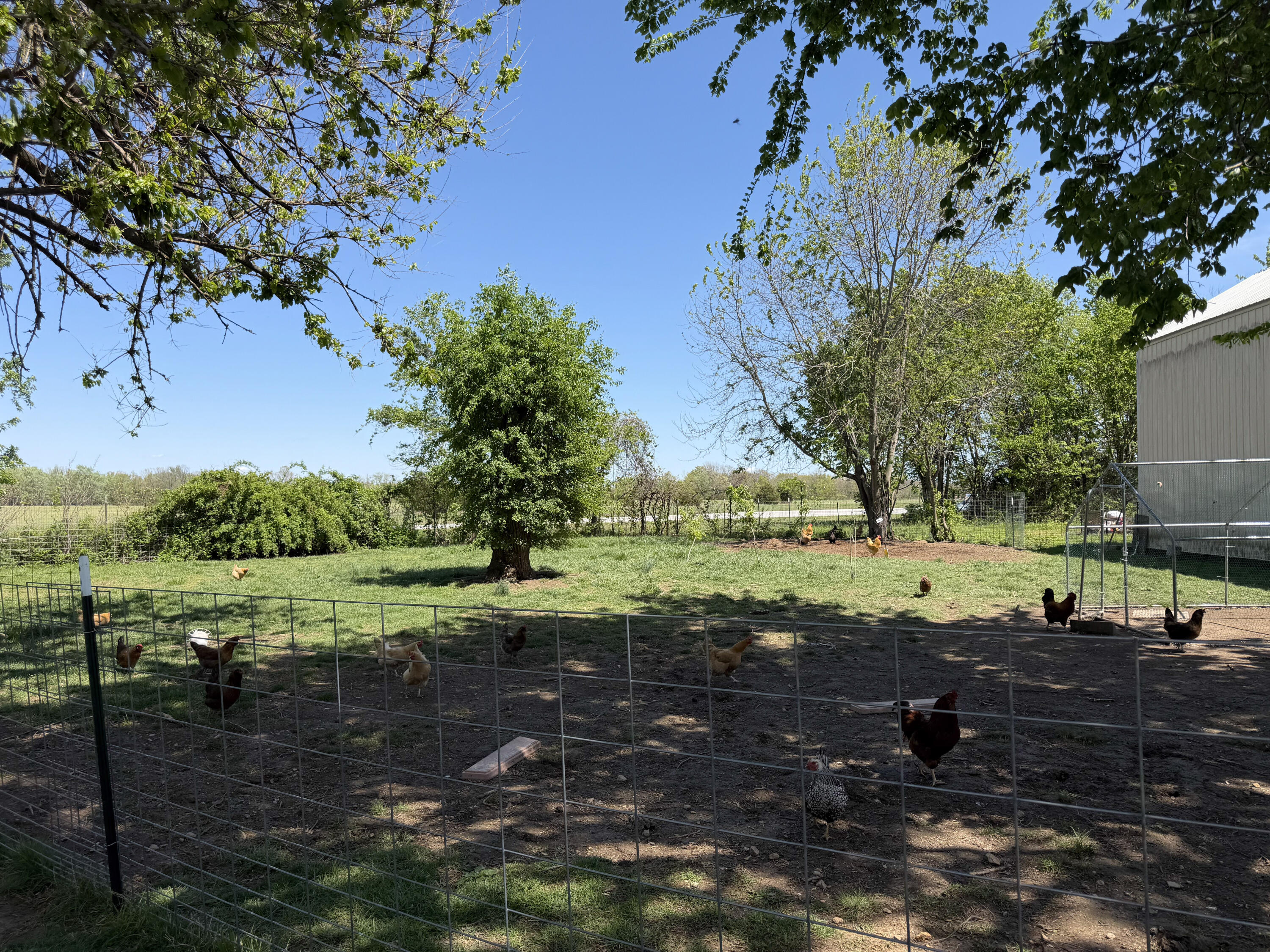1231 East Clinton Road Property Photo 47