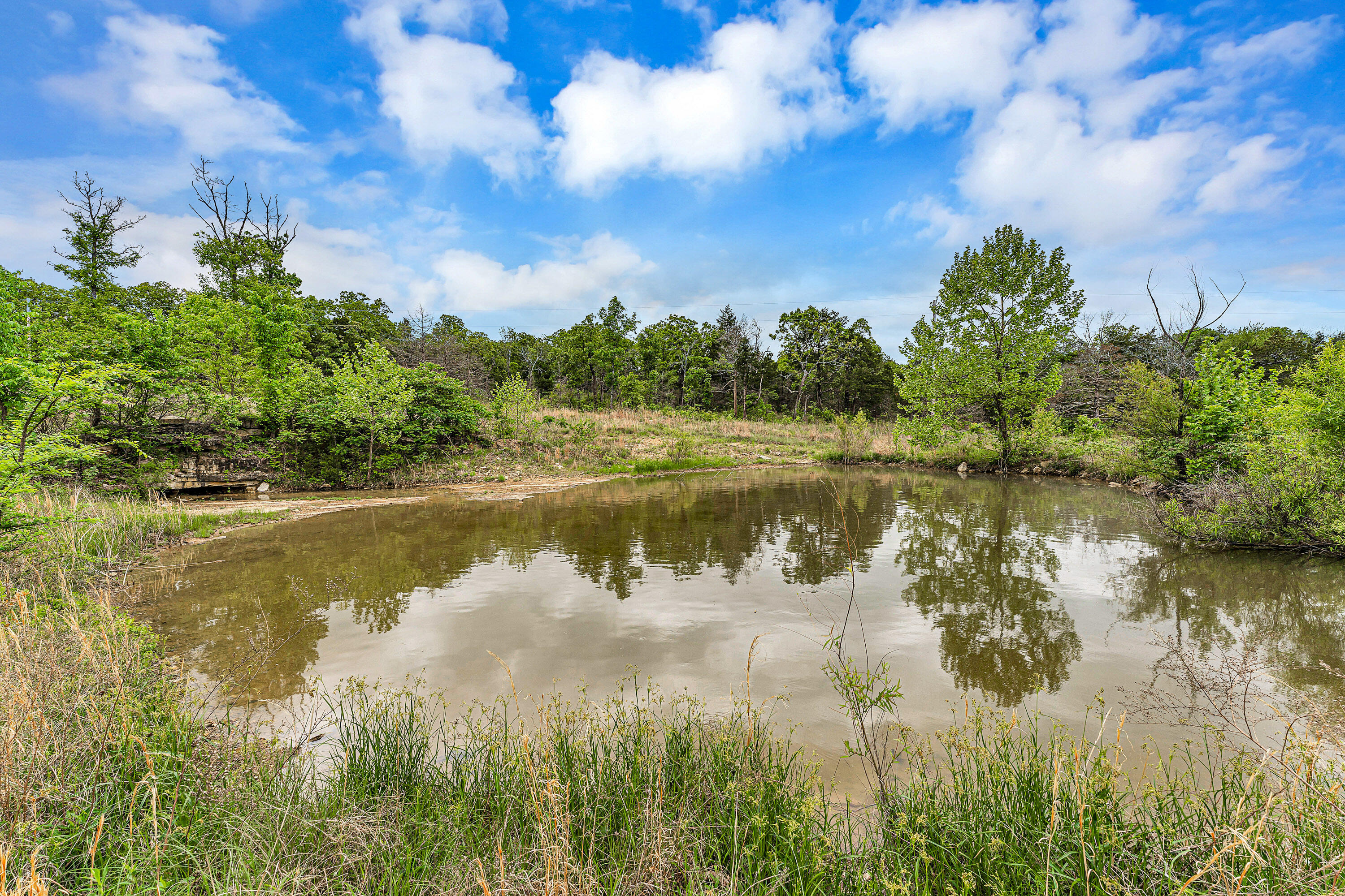 111 State Hwy Oo Property Photo 64