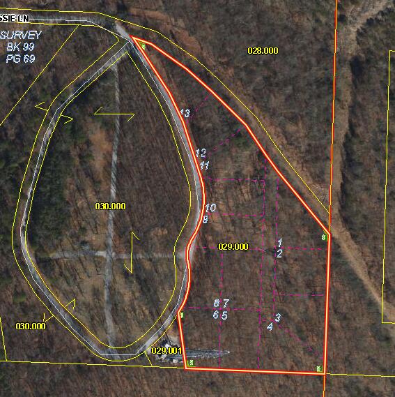 0000 Cassie Drive Property Photo 5