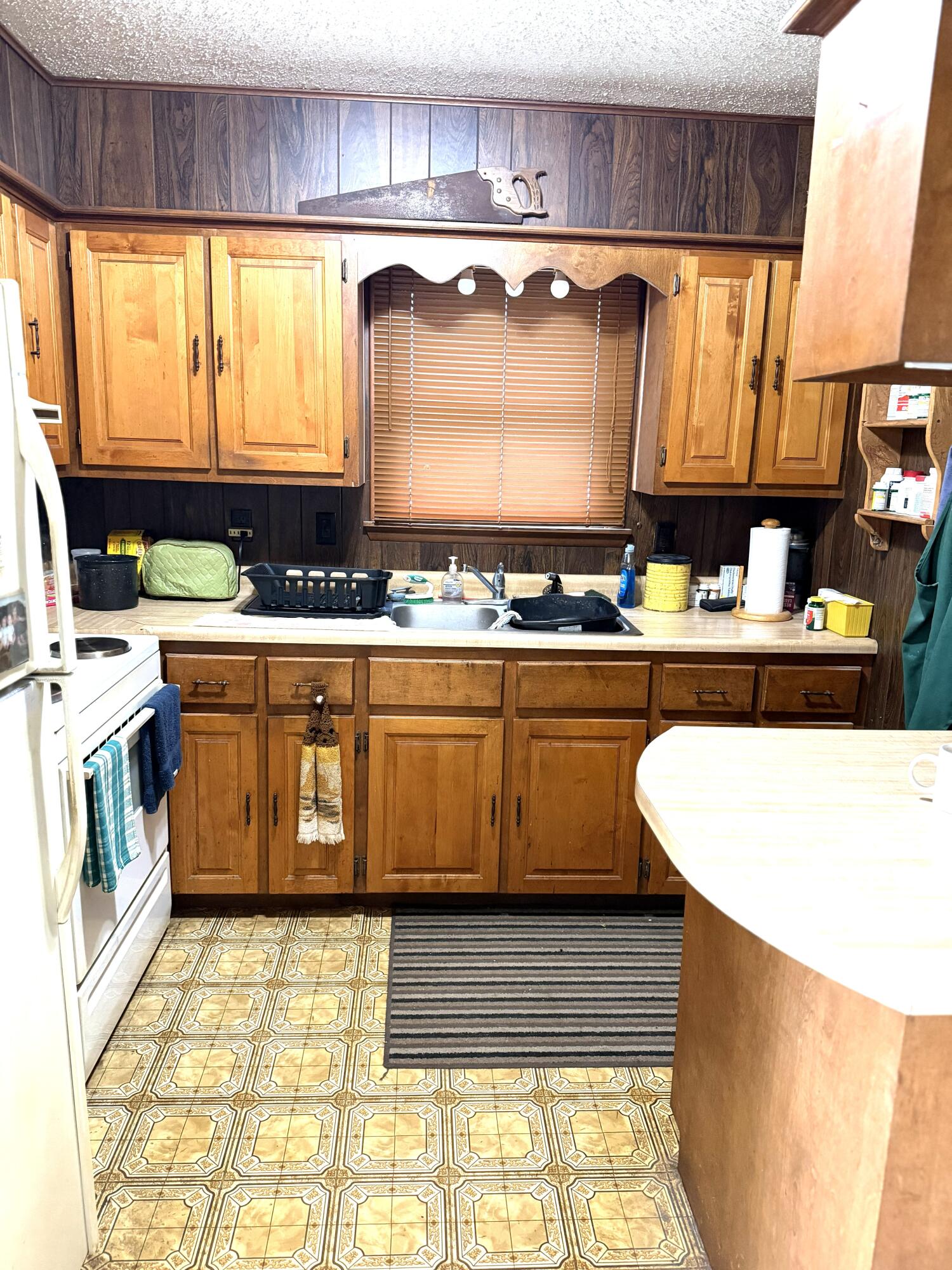 107 Angelica Street Property Photo 4