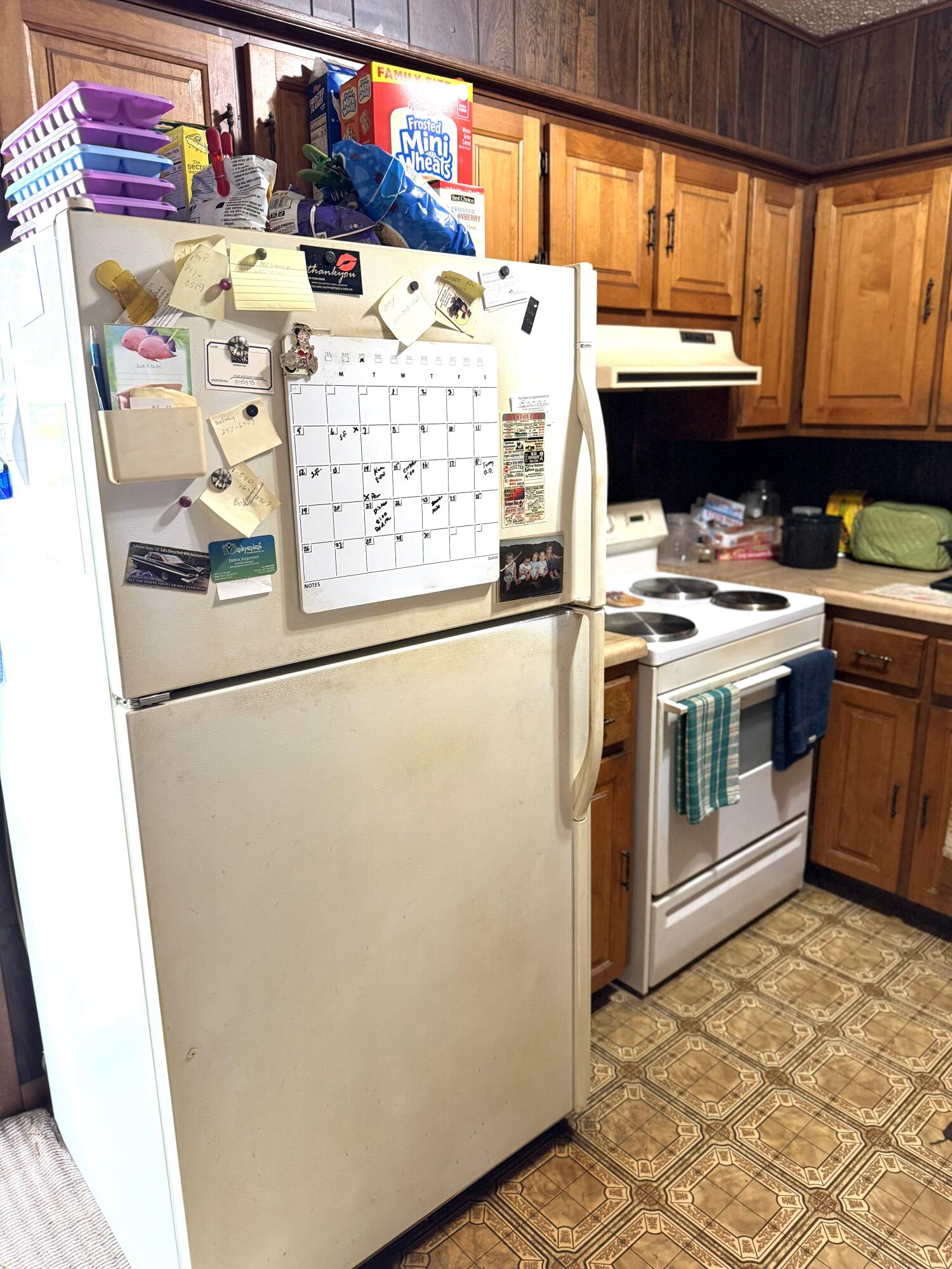 107 Angelica Street Property Photo 5