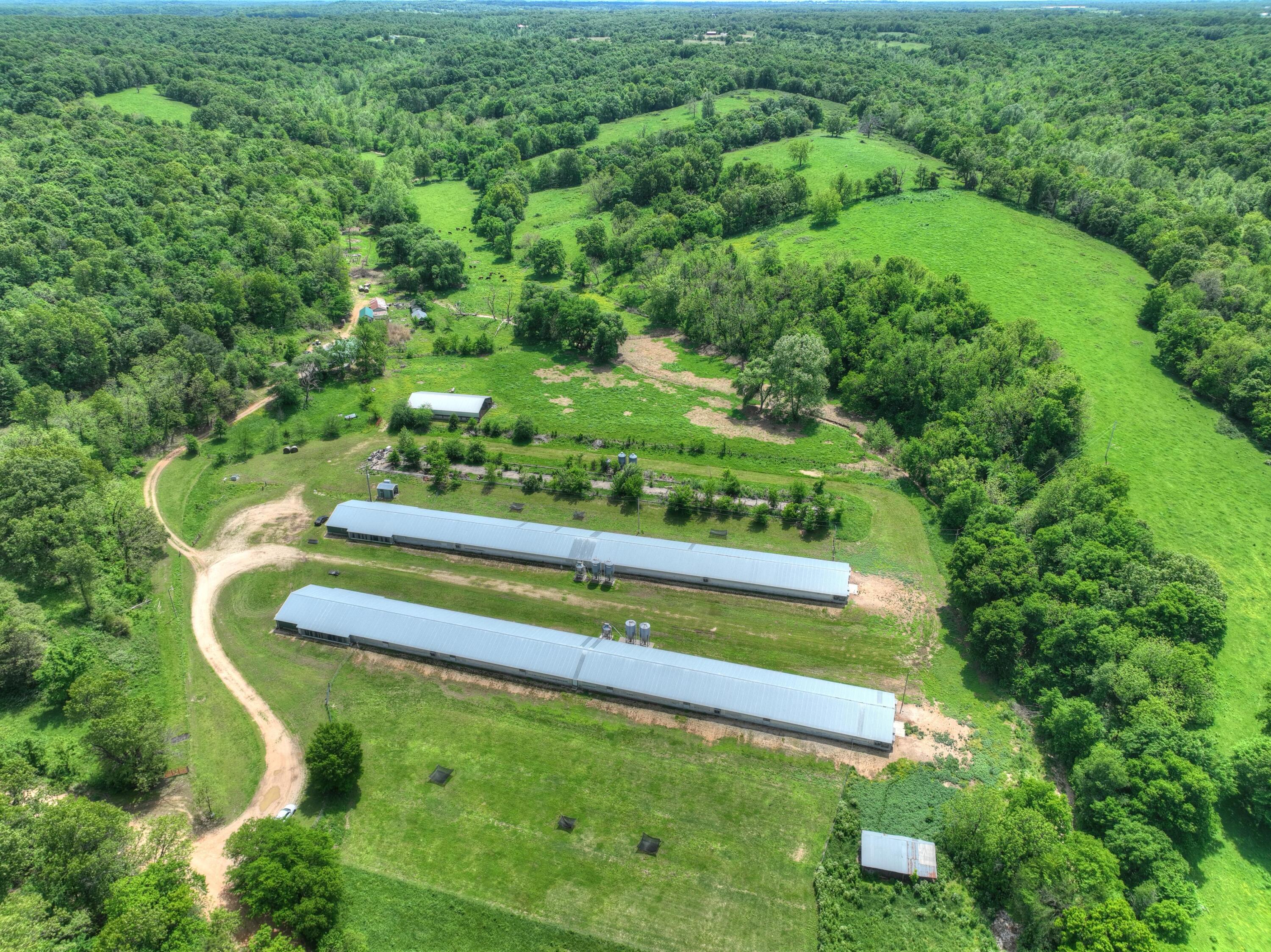1648 Pack Road Property Photo 7