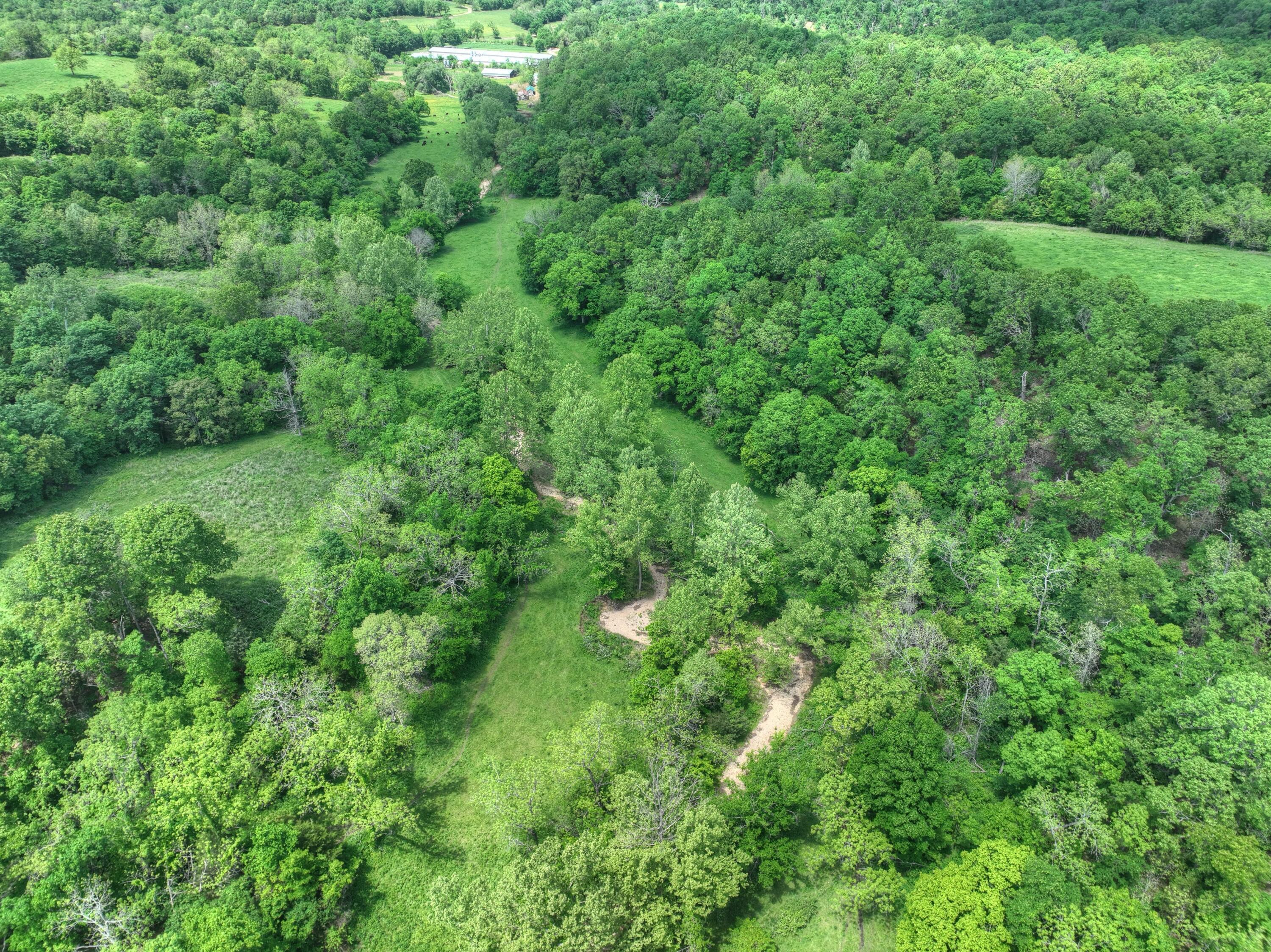 1648 Pack Road Property Photo 18