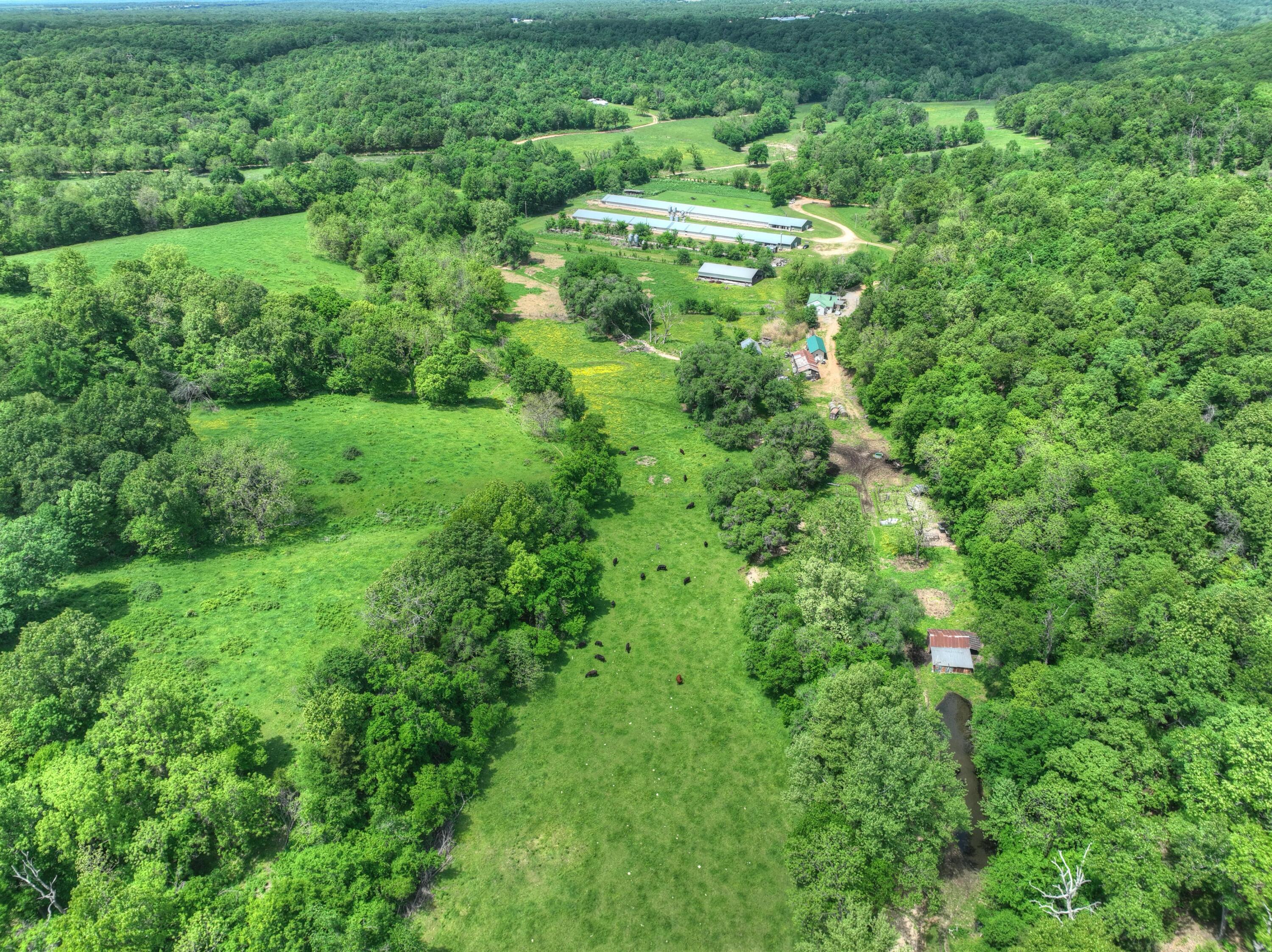 1648 Pack Road Property Photo 19