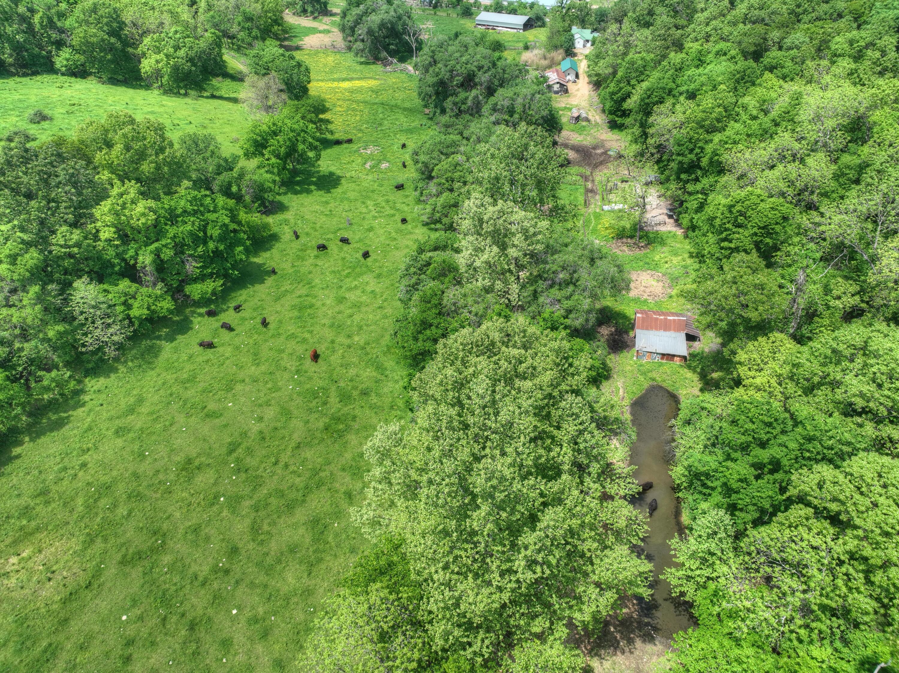 1648 Pack Road Property Photo 20