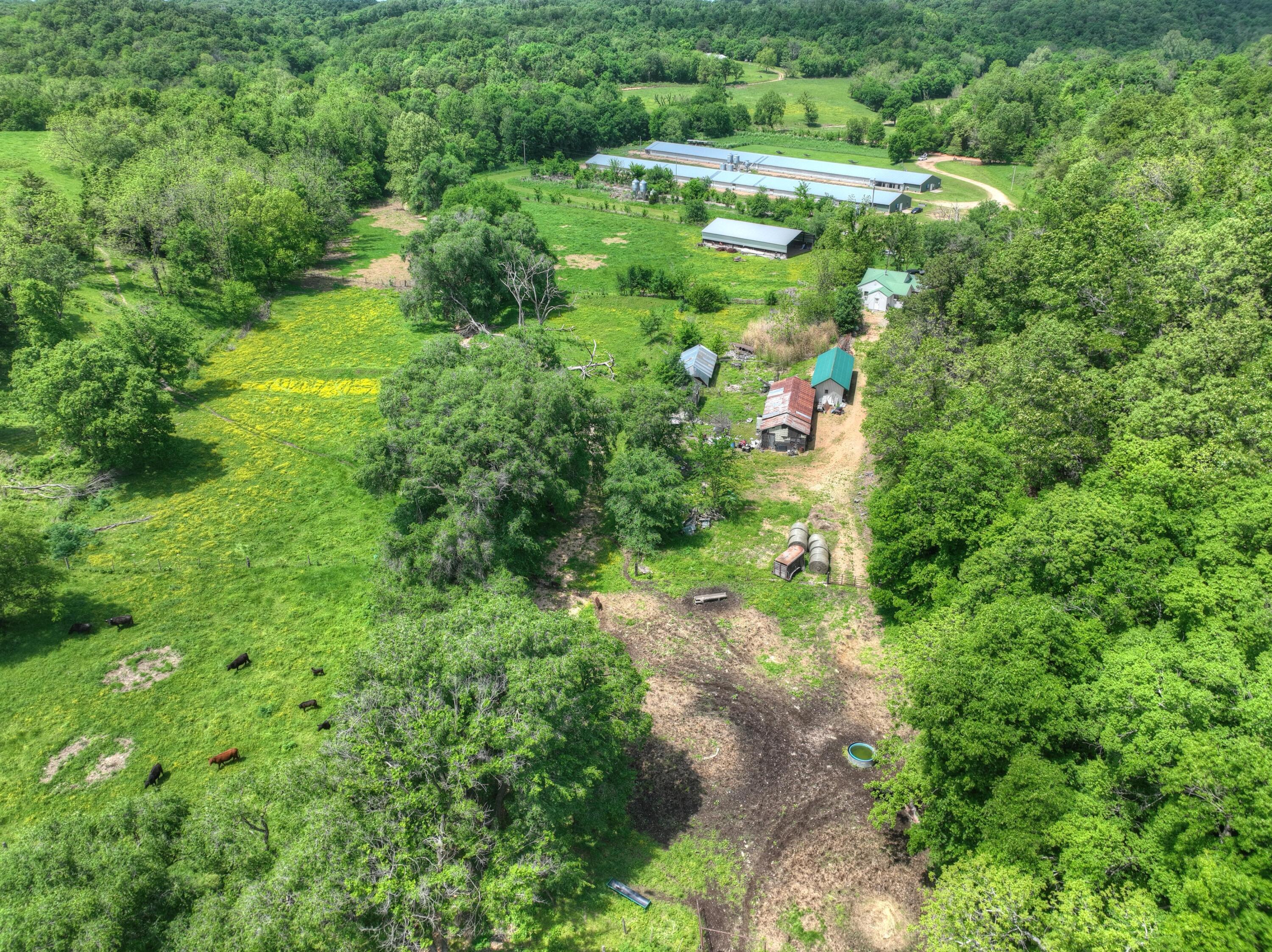 1648 Pack Road Property Photo 21
