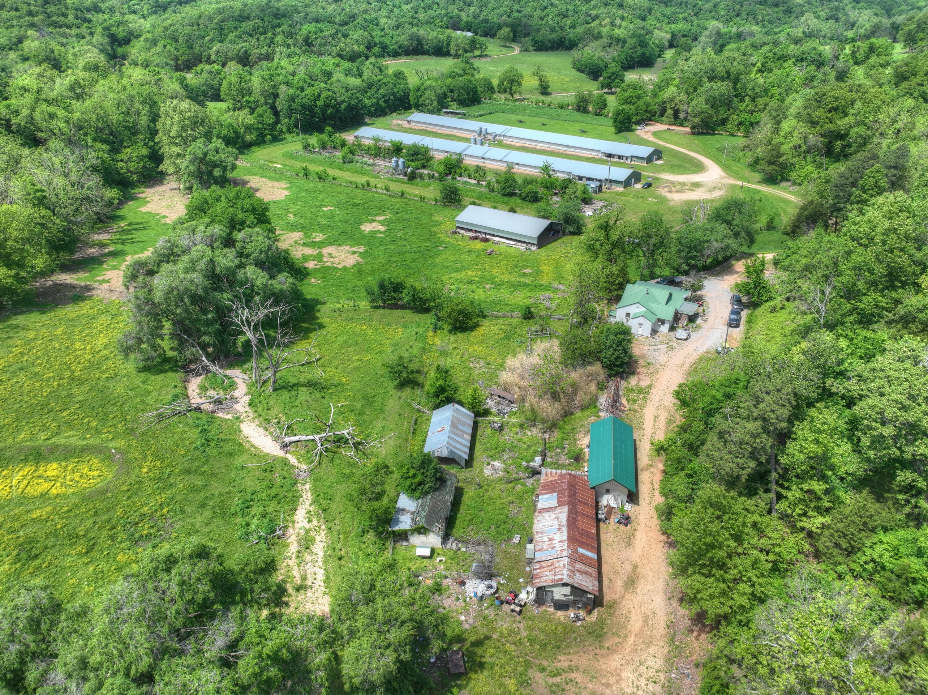 1648 Pack Road Property Photo 23