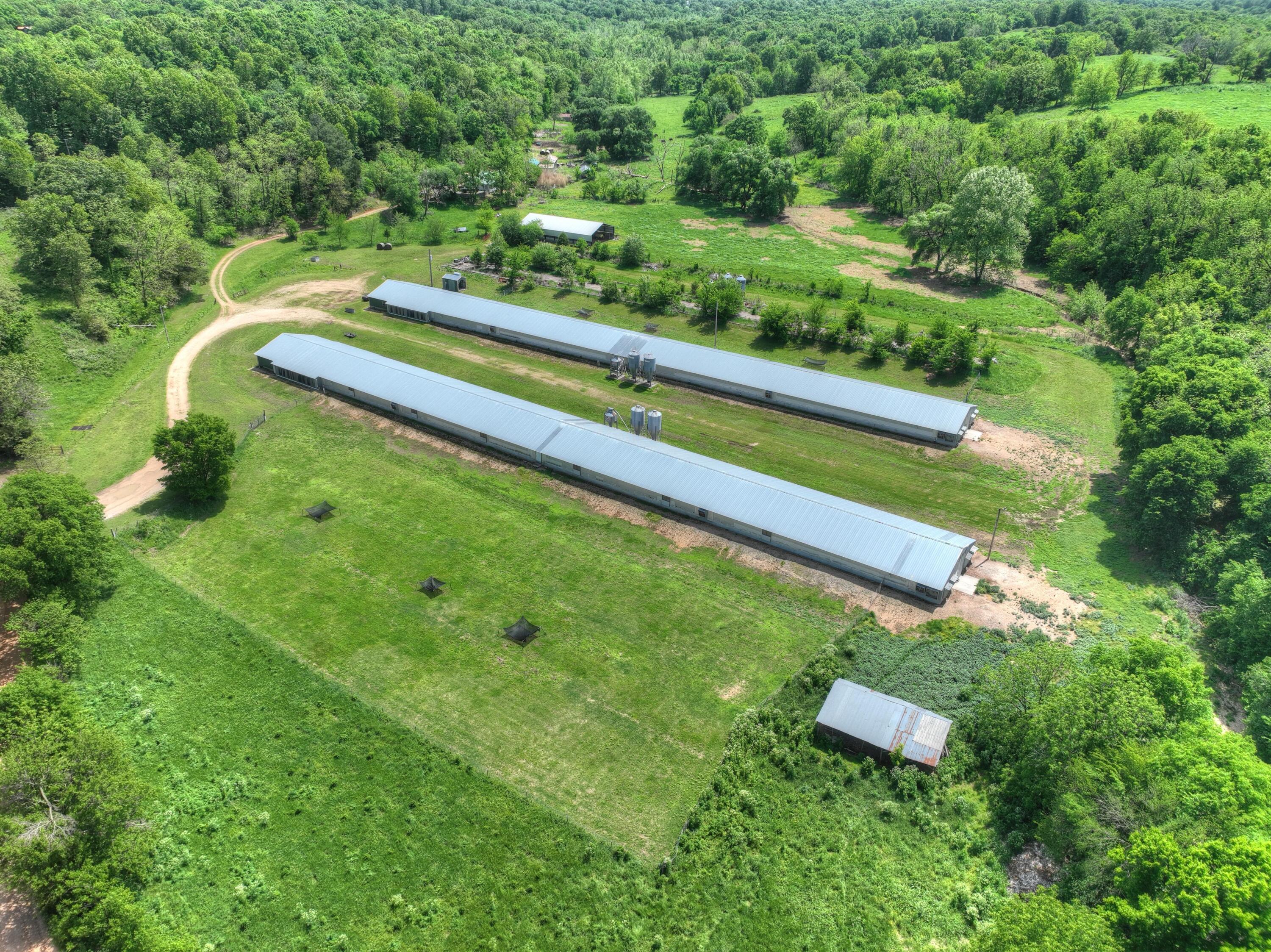 1648 Pack Road Property Photo 29