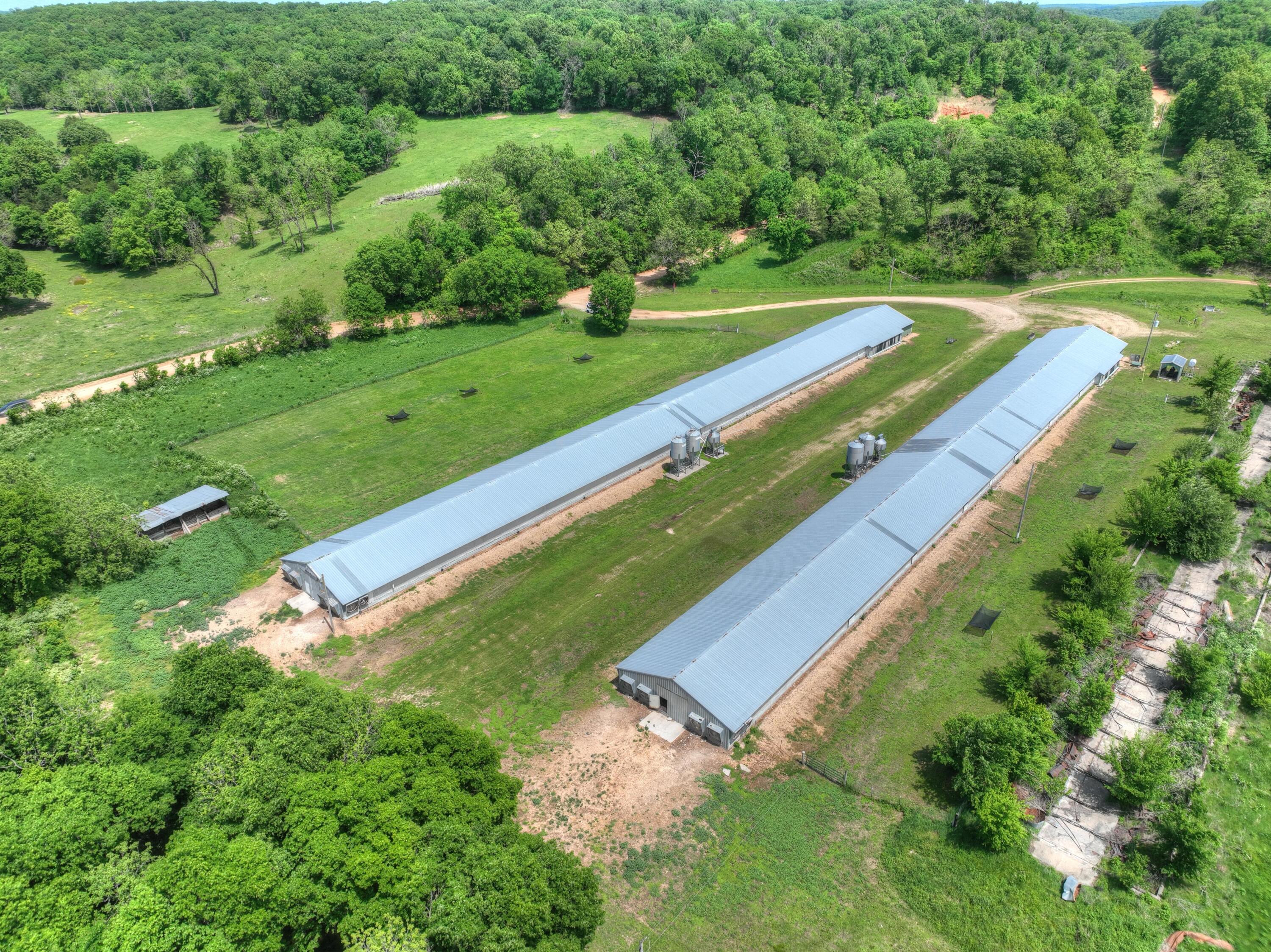 1648 Pack Road Property Photo 31