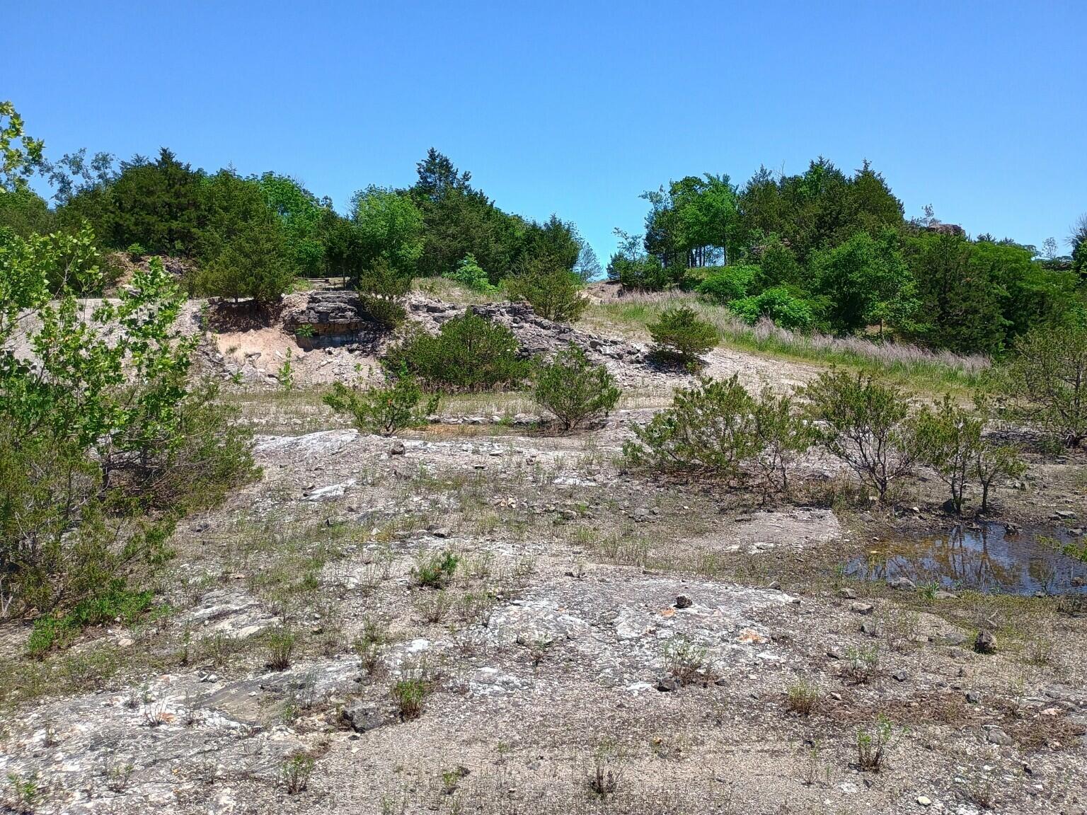 20615 Table Rock Ridge Road Property Photo 15