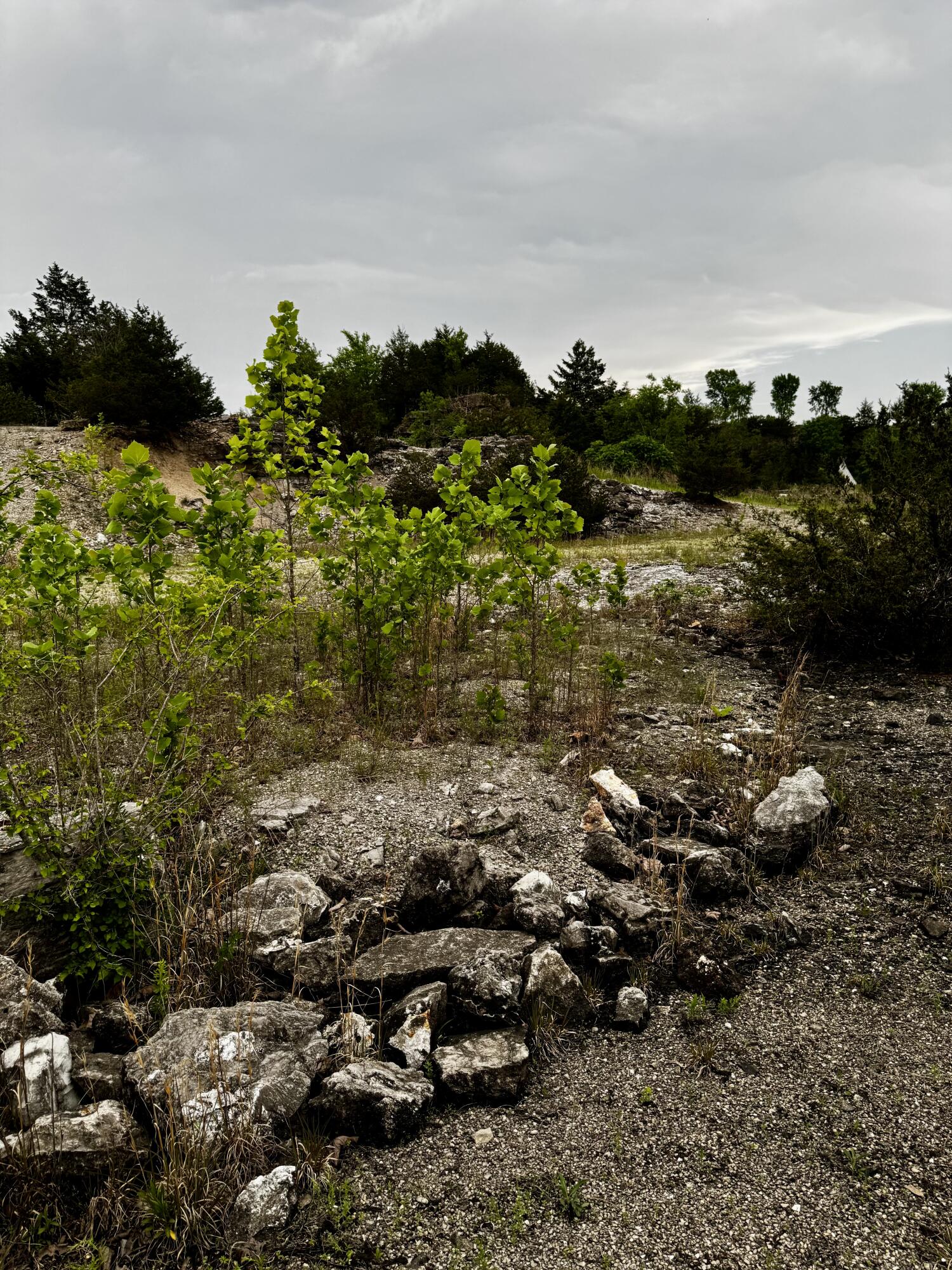 20615 Table Rock Ridge Road Property Photo 32