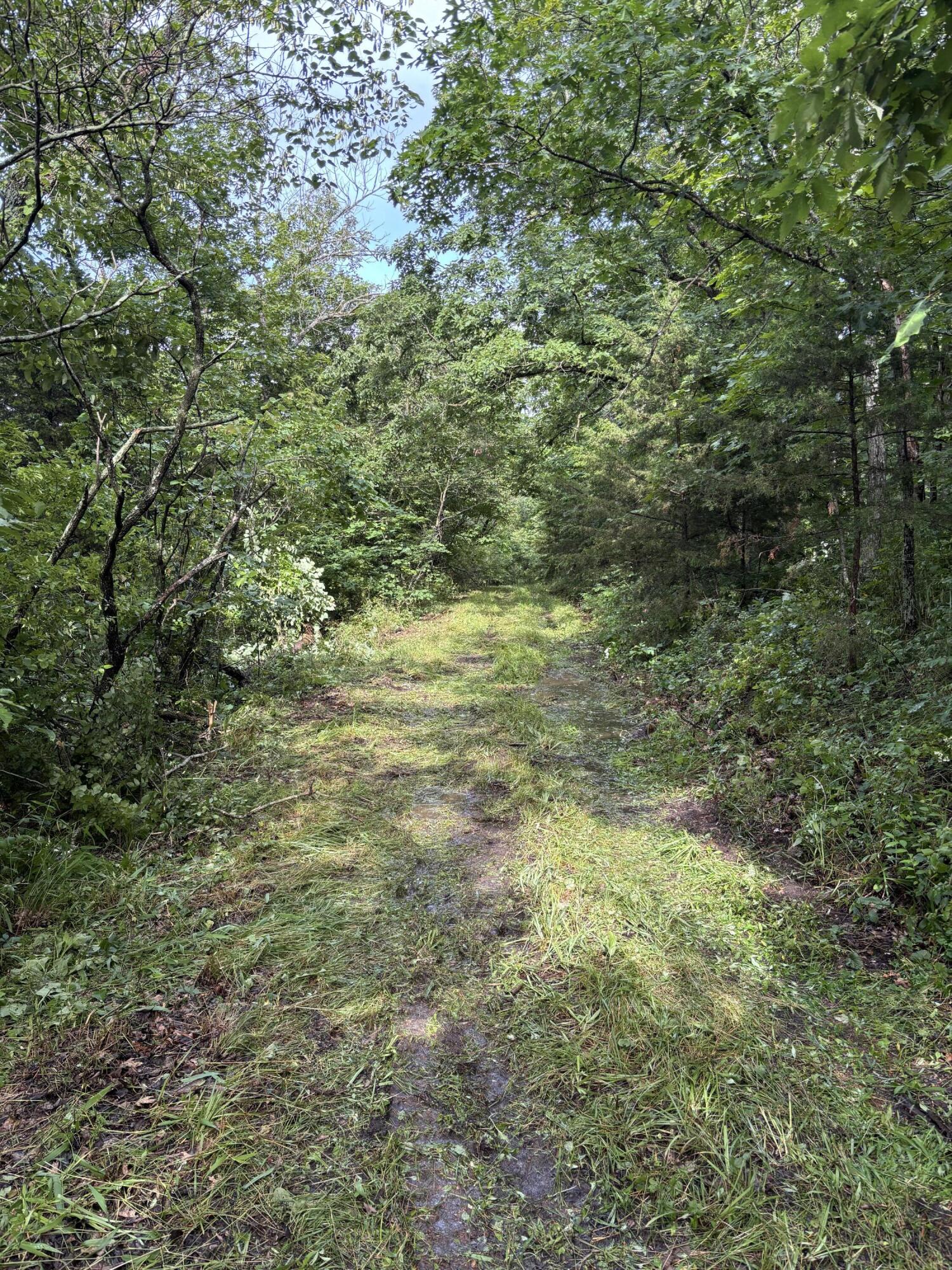 000 Highway T Property Photo 8