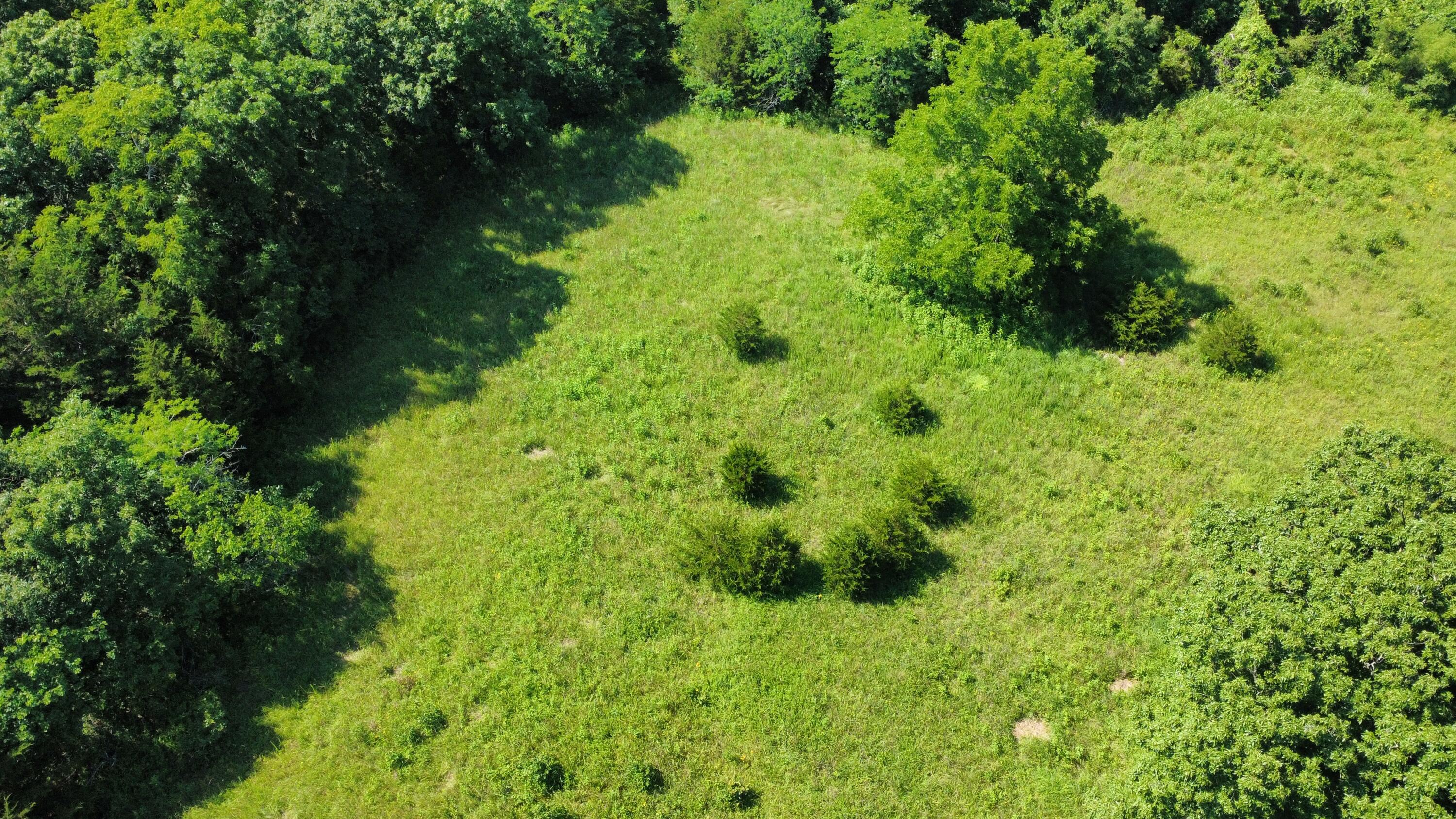 000 Highway T Property Photo 12