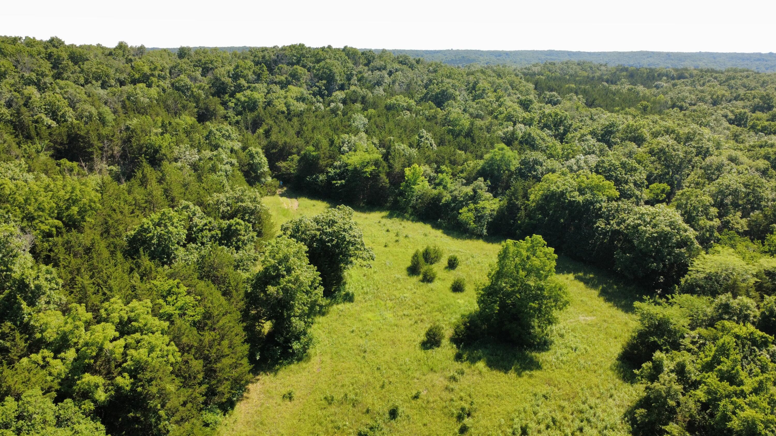000 Highway T Property Photo 16