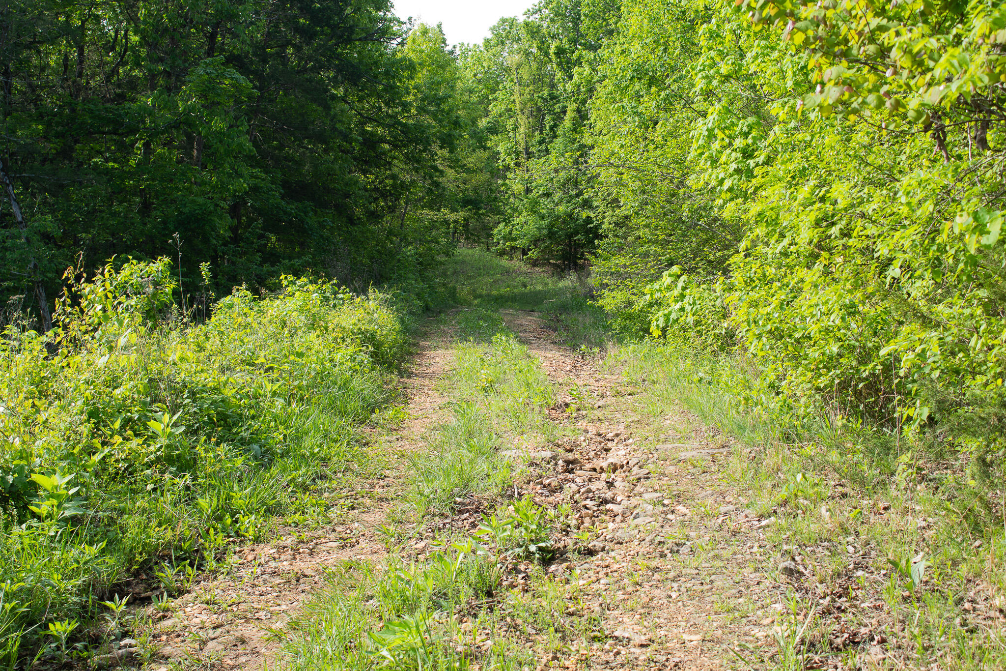 000 Terrace Lane Property Photo 1