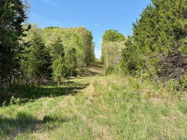 4515 Wallen Road Property Photo 13