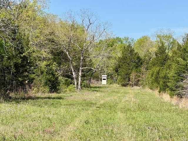 4515 Wallen Road Property Photo 14