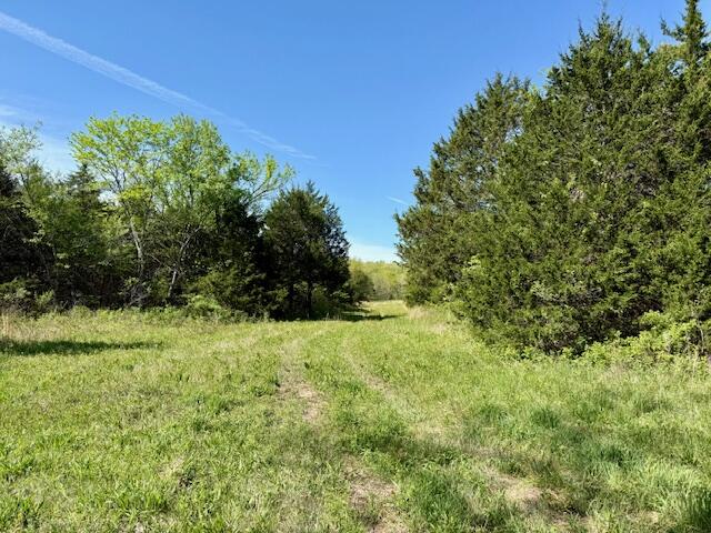 4515 Wallen Road Property Photo 19