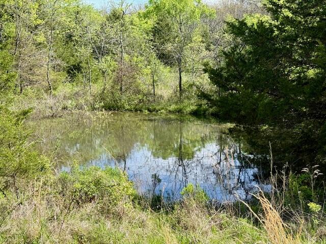 4515 Wallen Road Property Photo 21