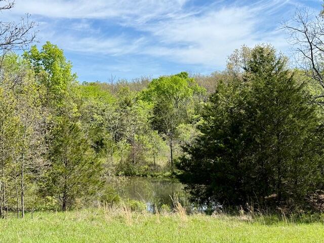 4515 Wallen Road Property Photo 28