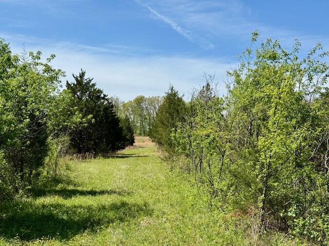 4515 Wallen Road Property Photo 30