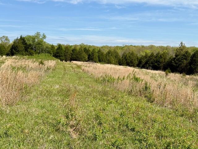 4515 Wallen Road Property Photo 37