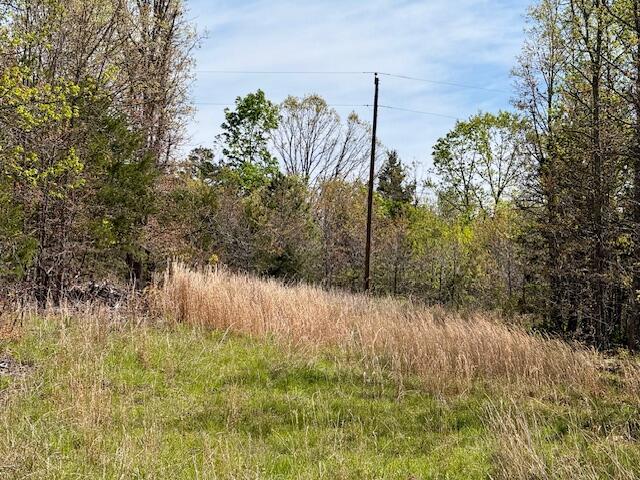 4515 Wallen Road Property Photo 39